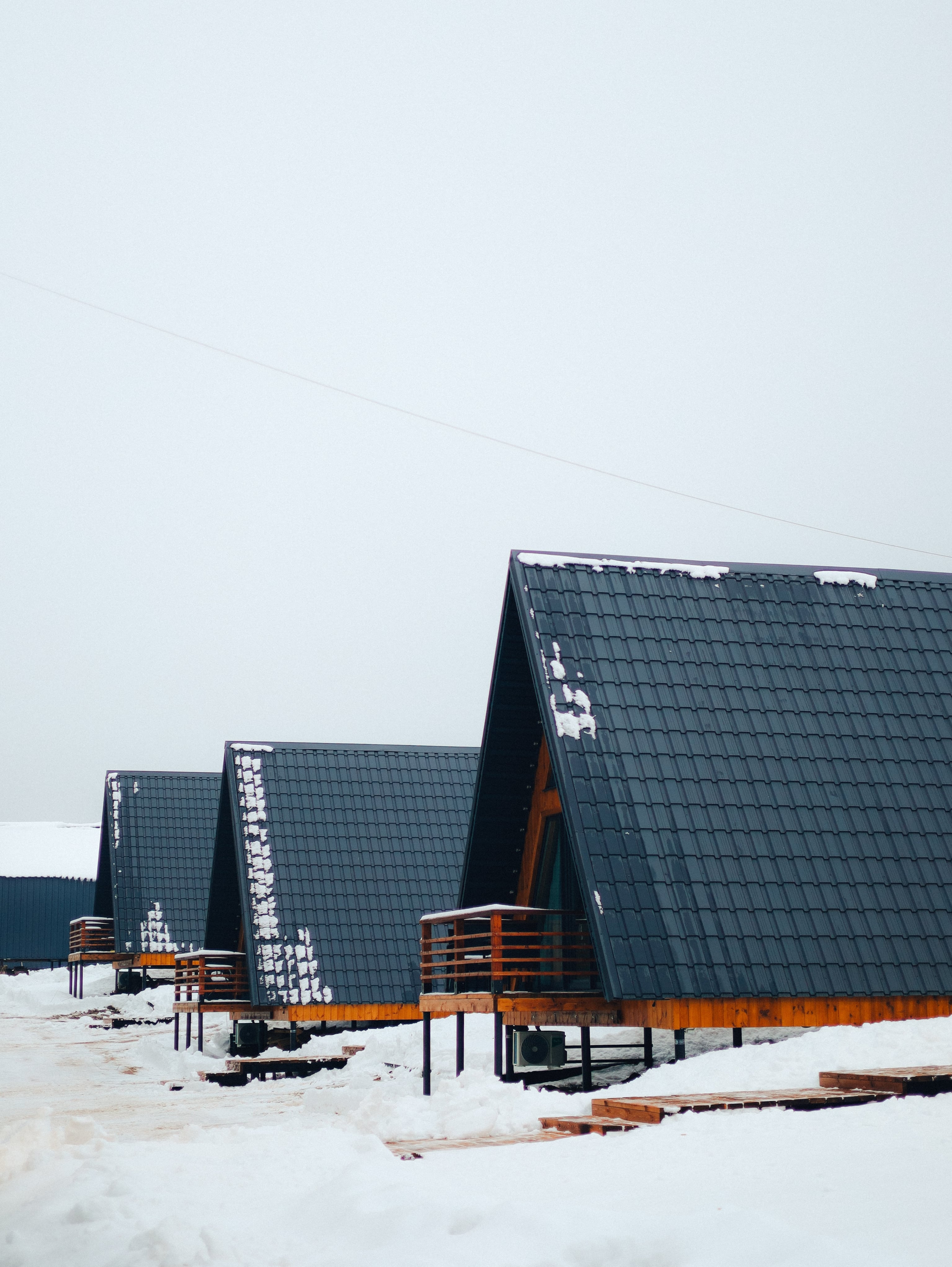 Фото Караси