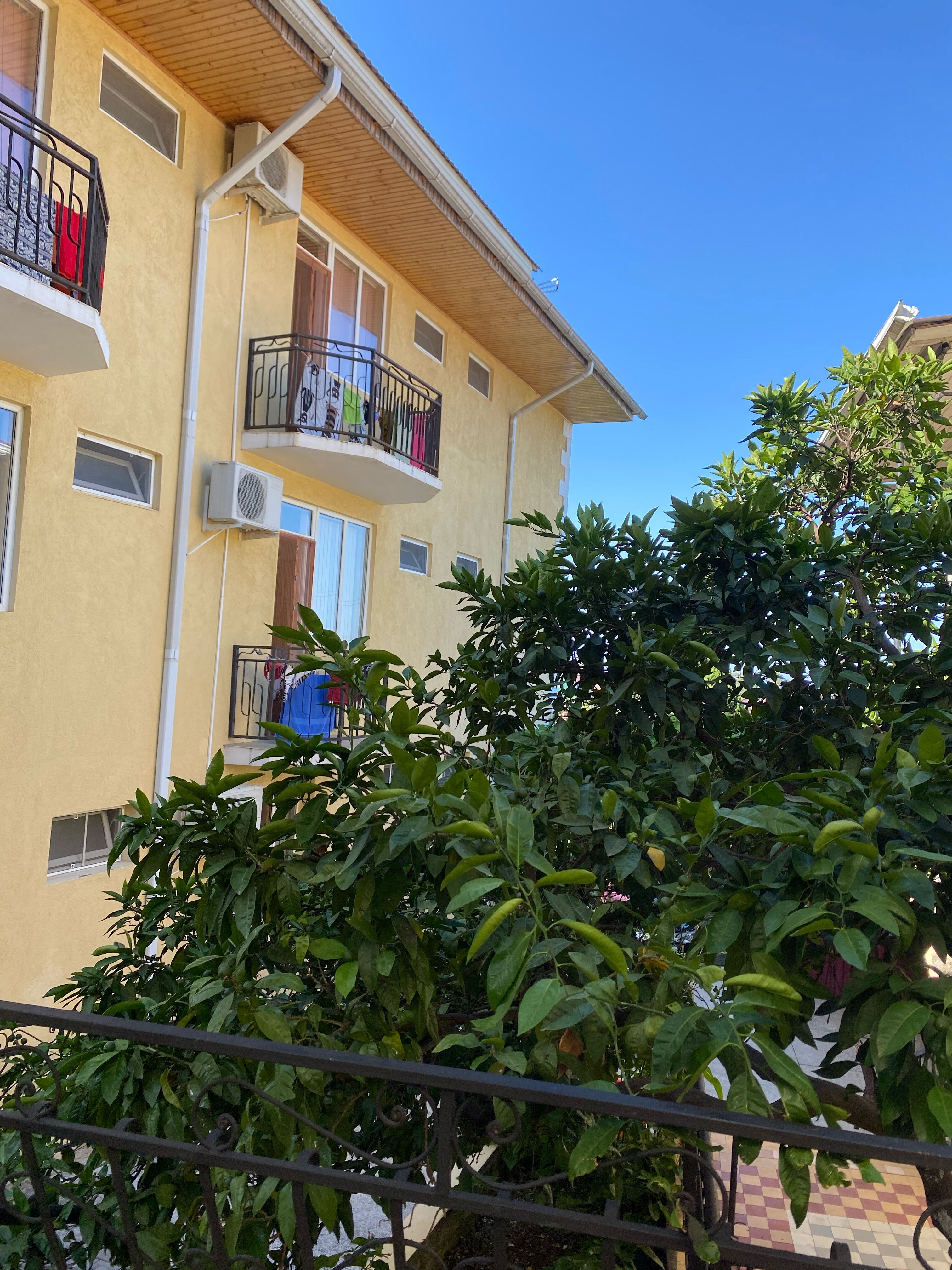 Фото Мандариновый Сад