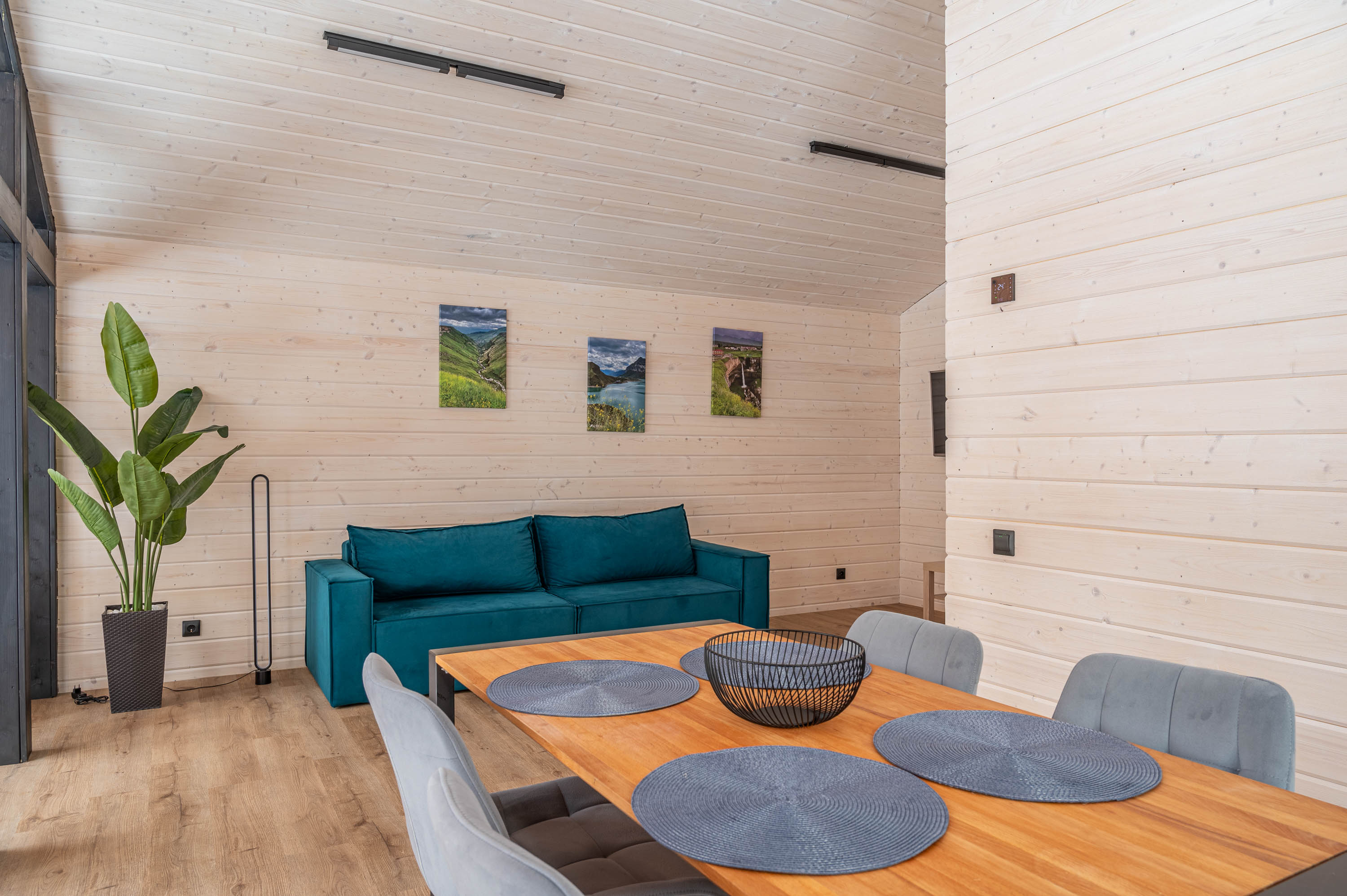 Фото Елки&голки