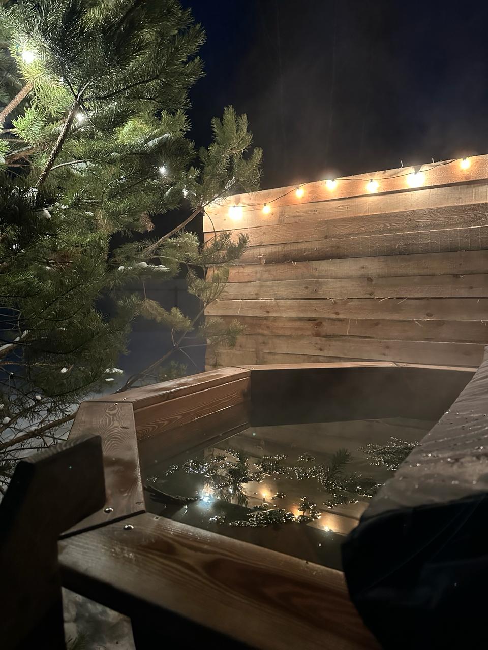 Фото Лес и Волга