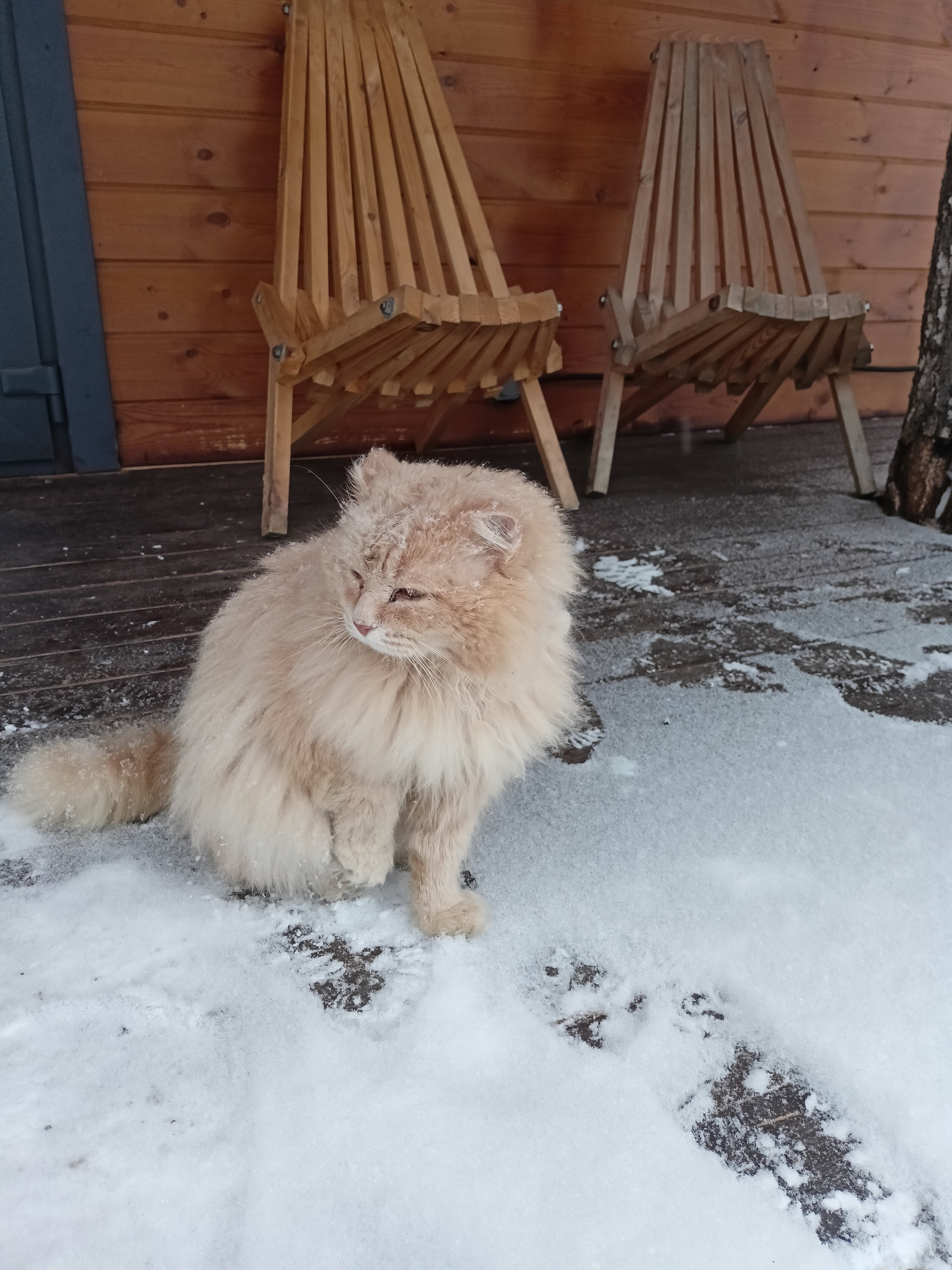 Фото Лесотерапия