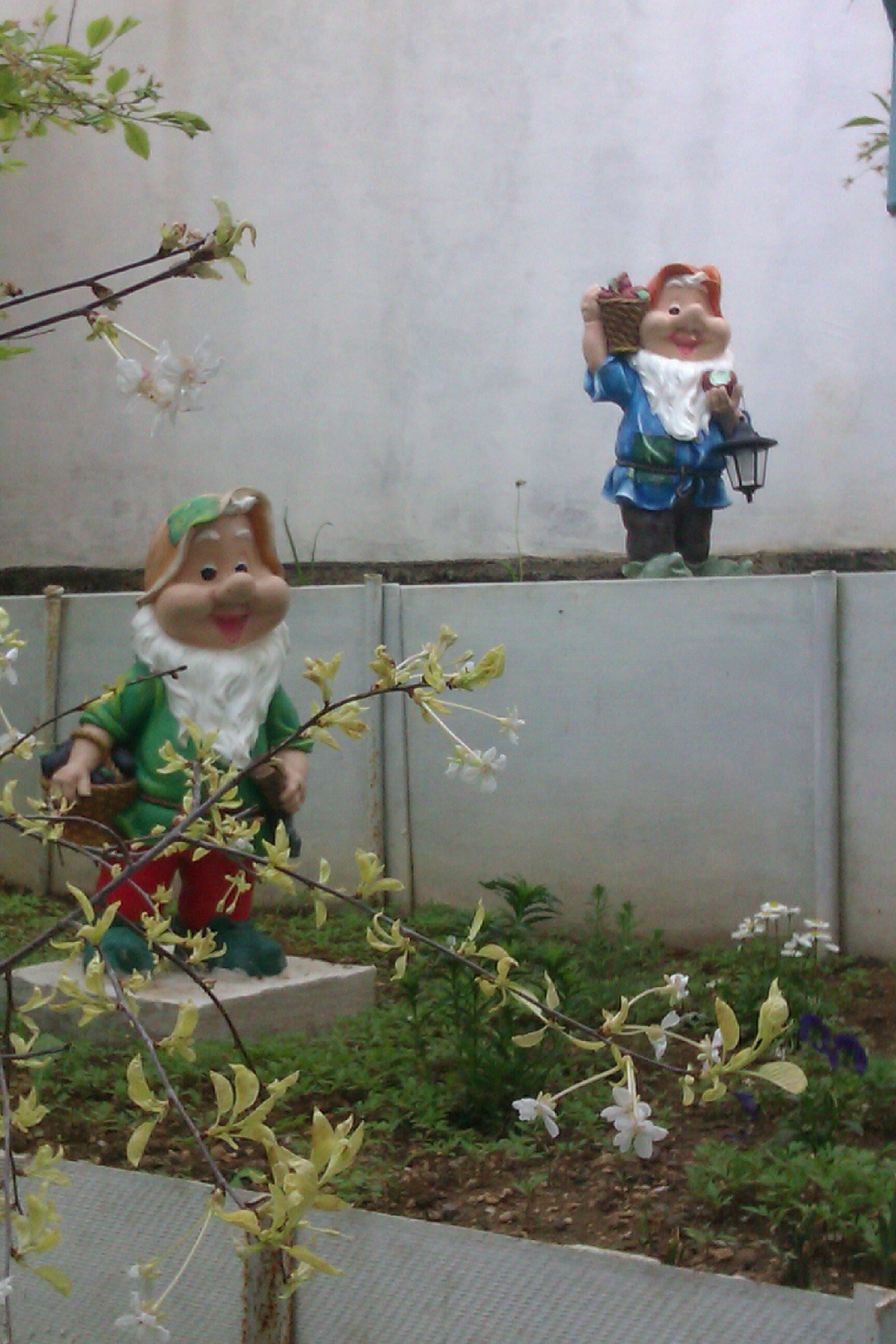 Фото Садочек