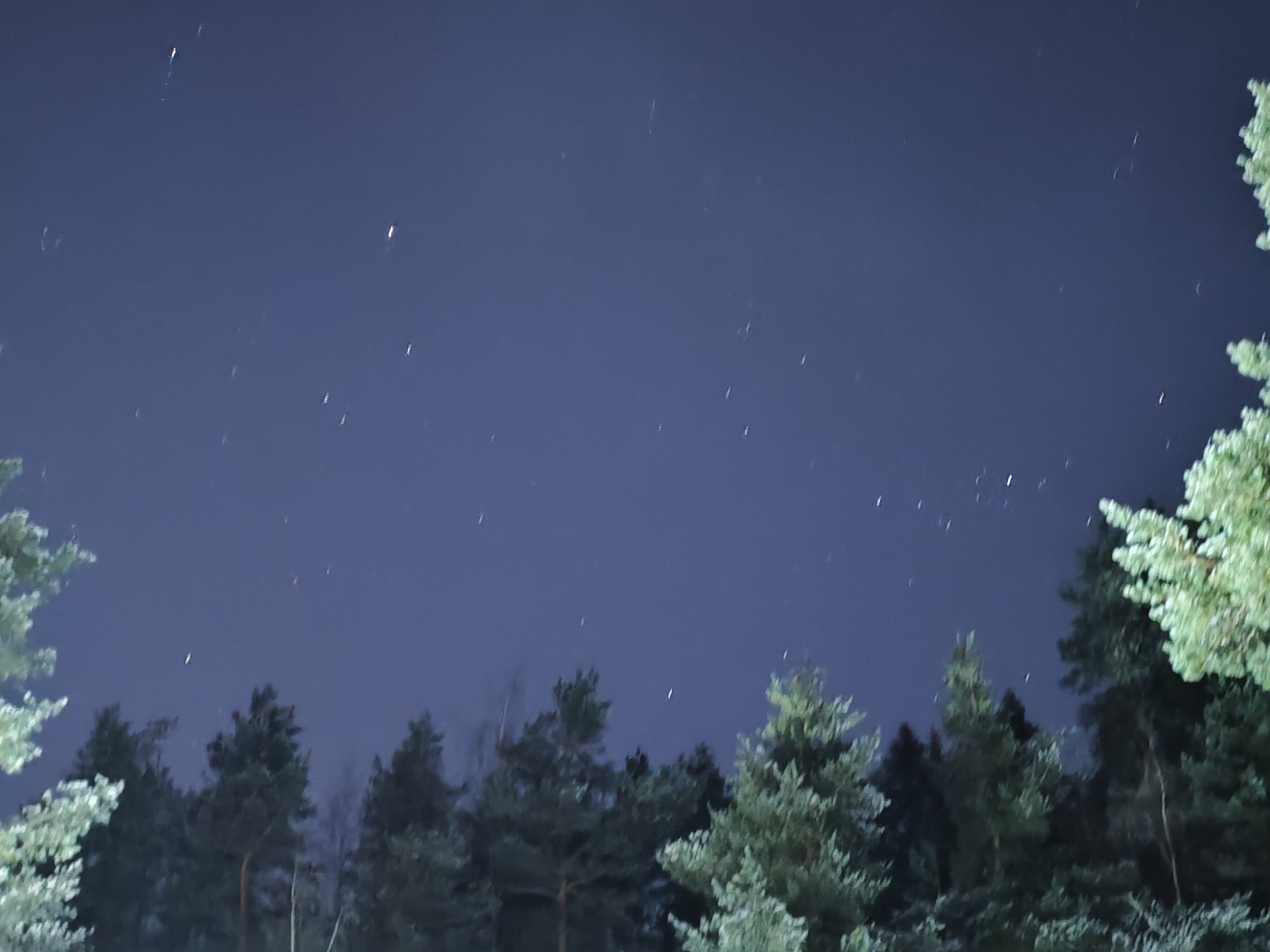 Фото Динамо