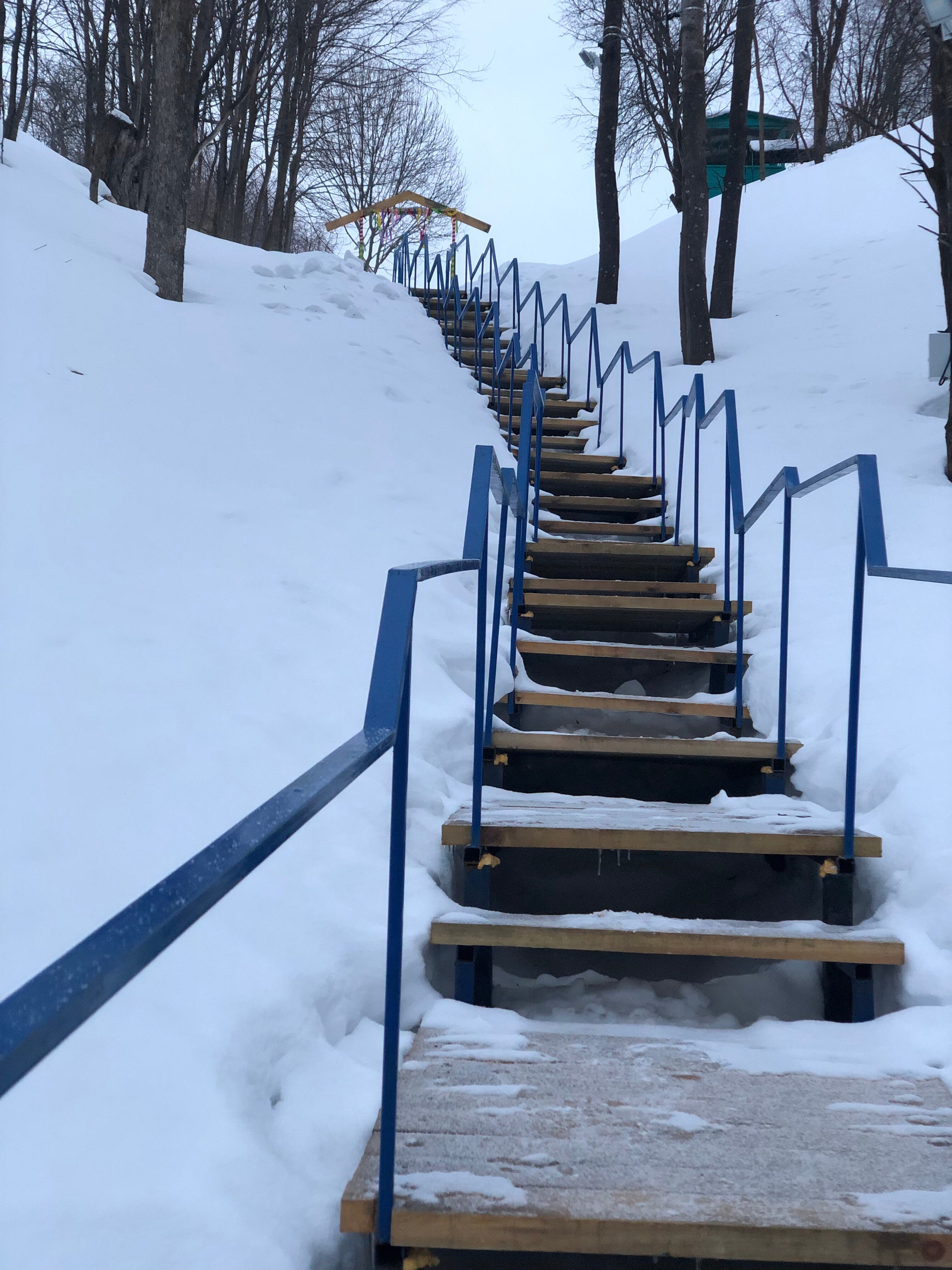 Фото Ласточкин дом