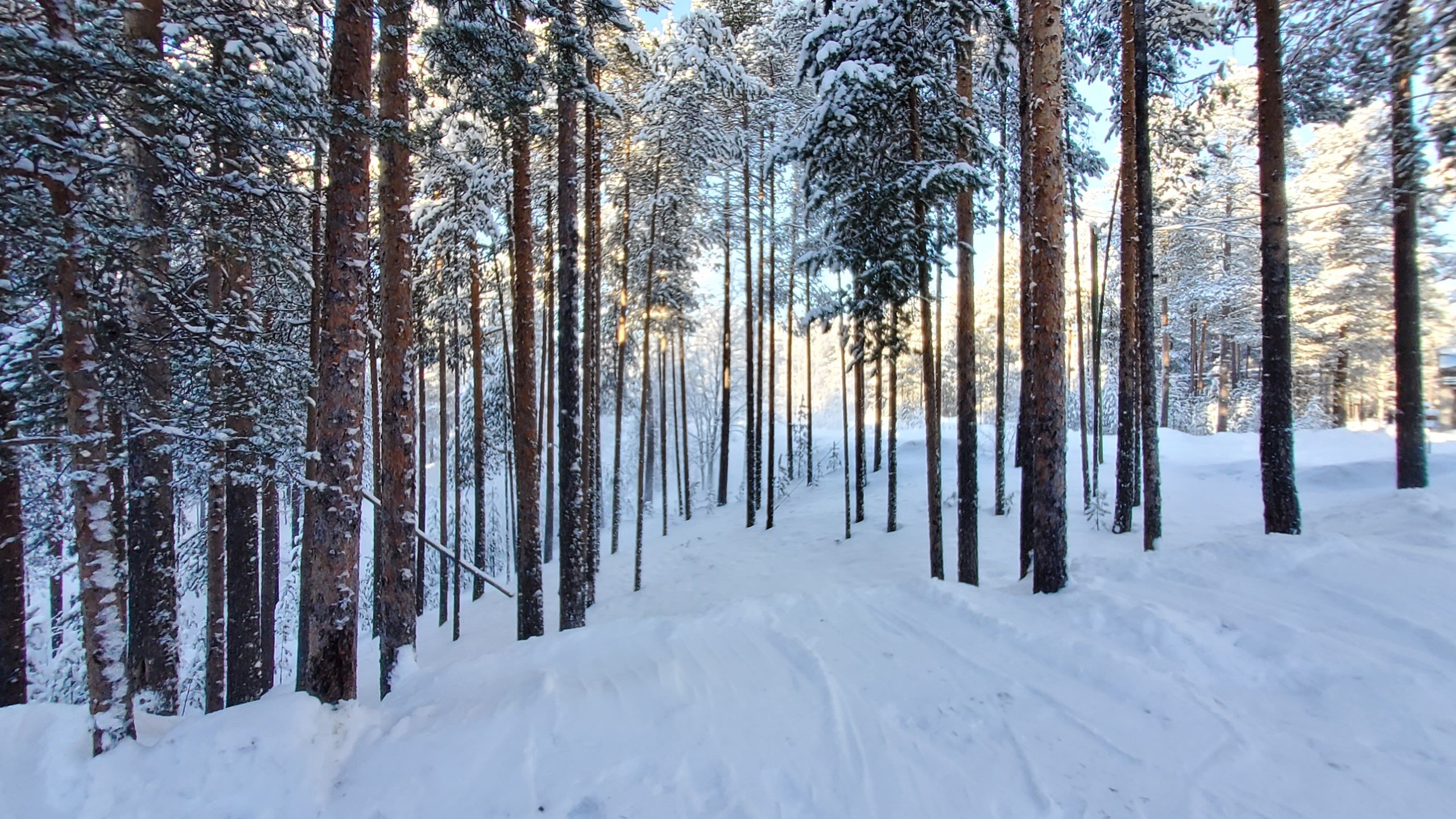 Фото Гостиница Соло