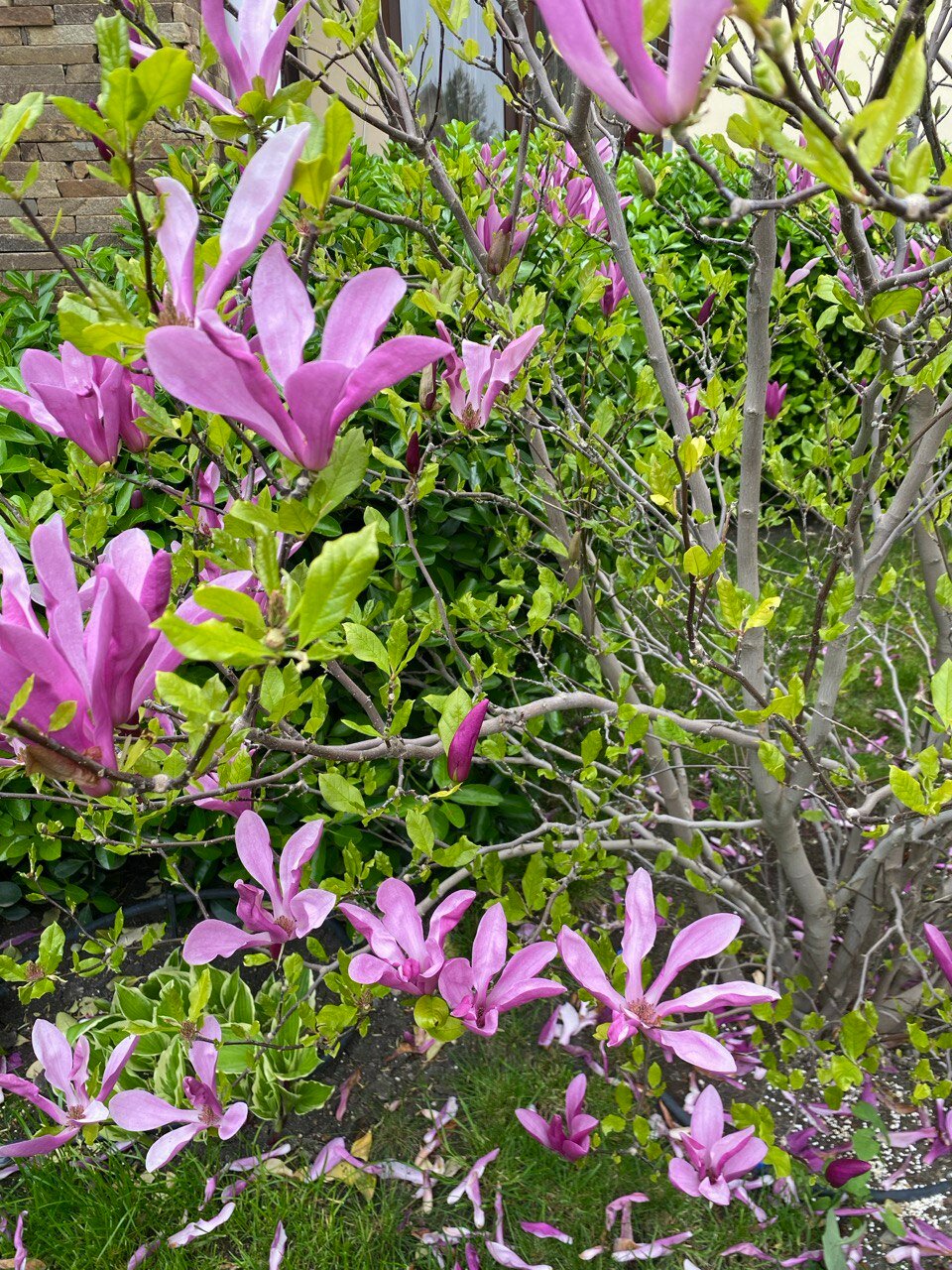 Фото Sineva Del Sol