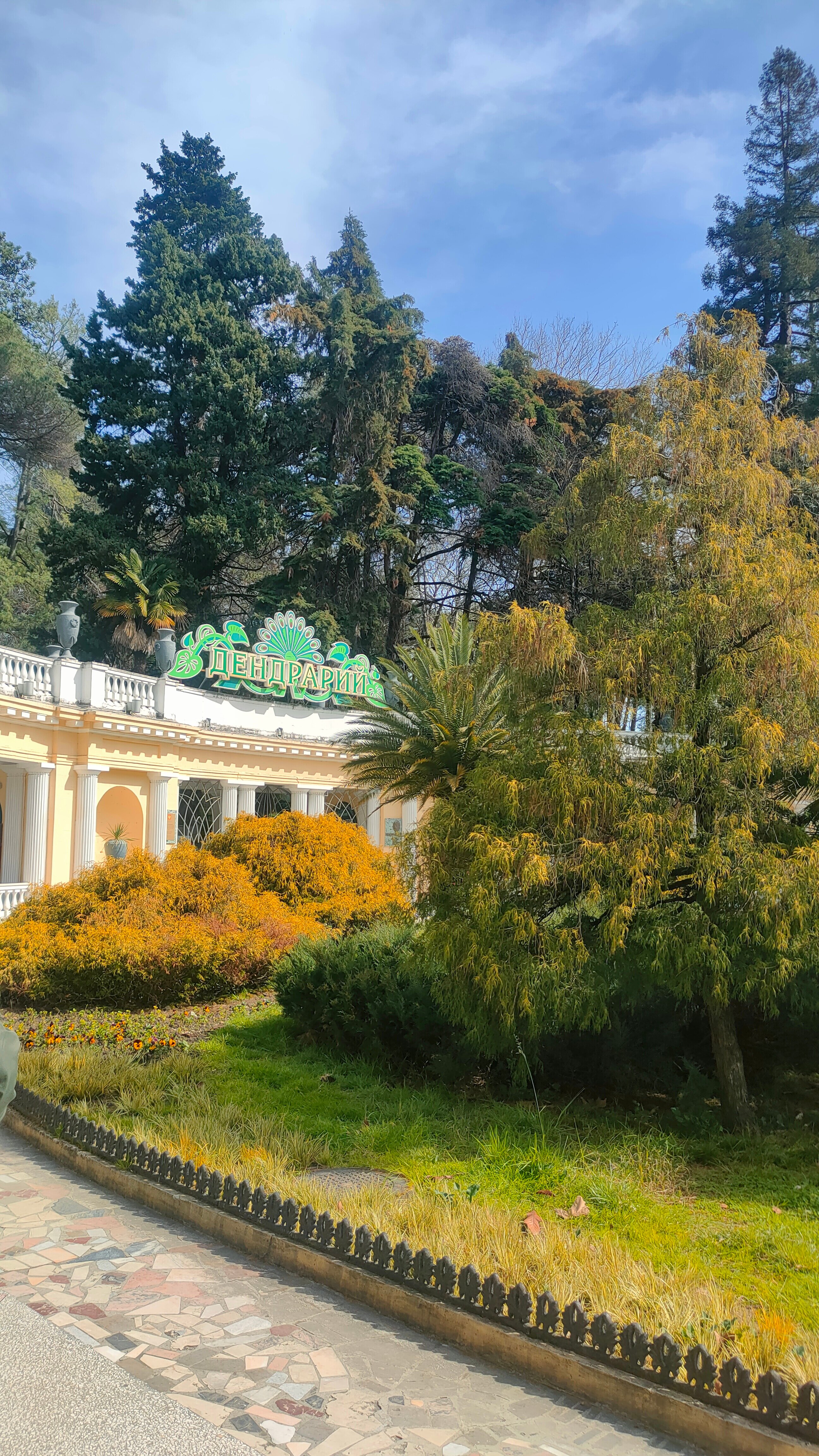 Фото Azimut Здоровье Ивушка