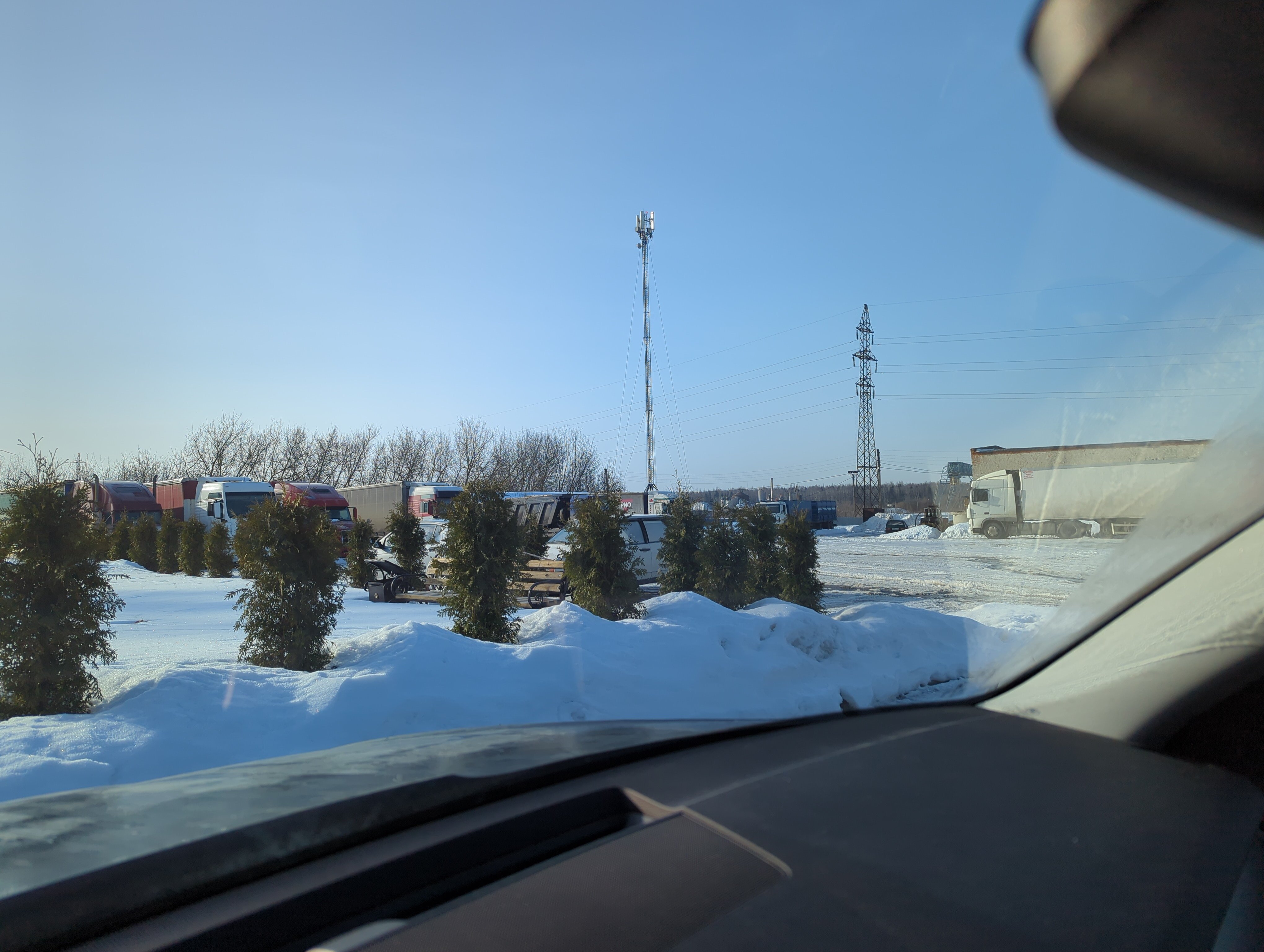 Фото Иволга