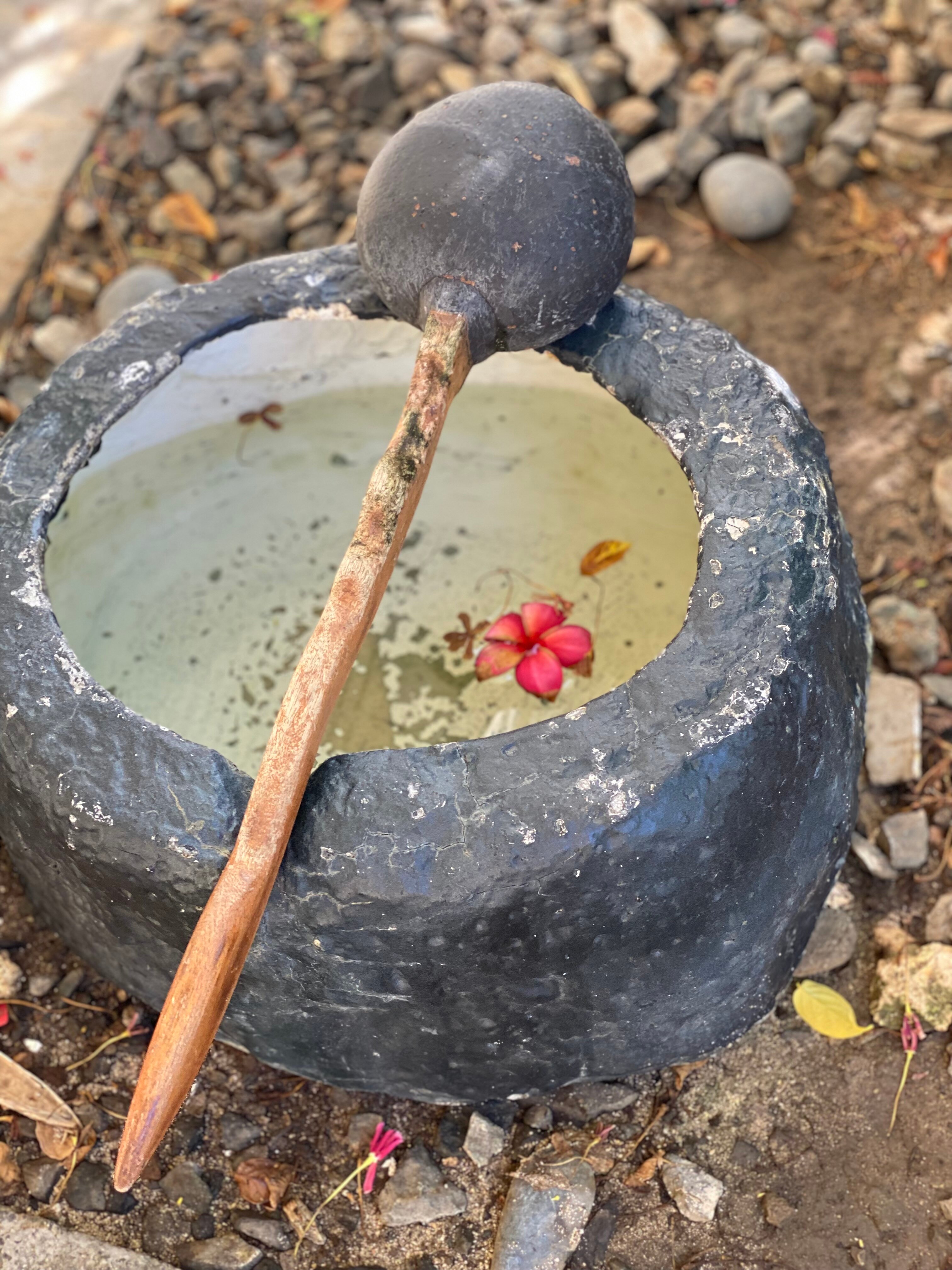 Фото Plantation Bay Resort and SPA