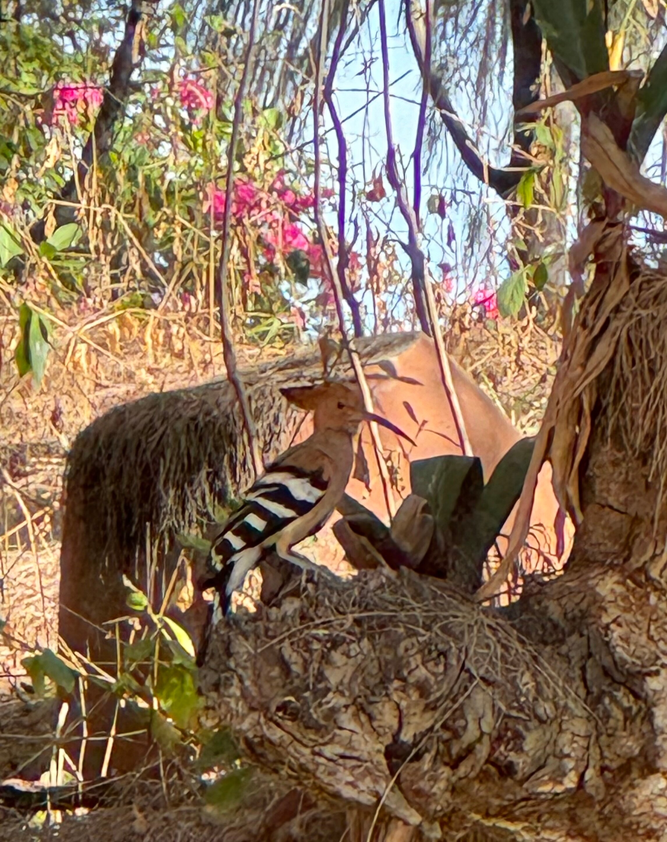 Фото Saigon Mui Ne Resort