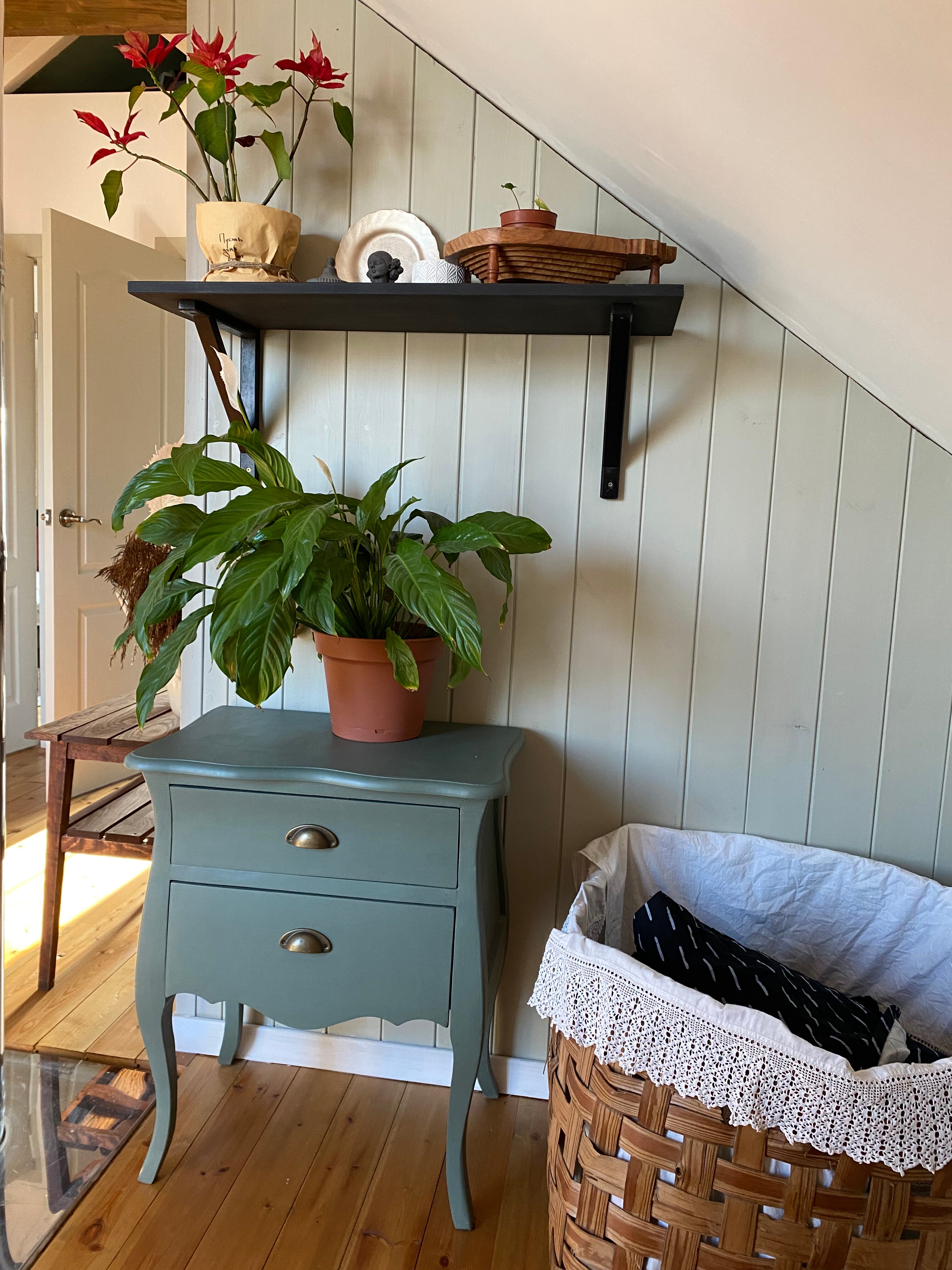 Фото Пенеснарь Home