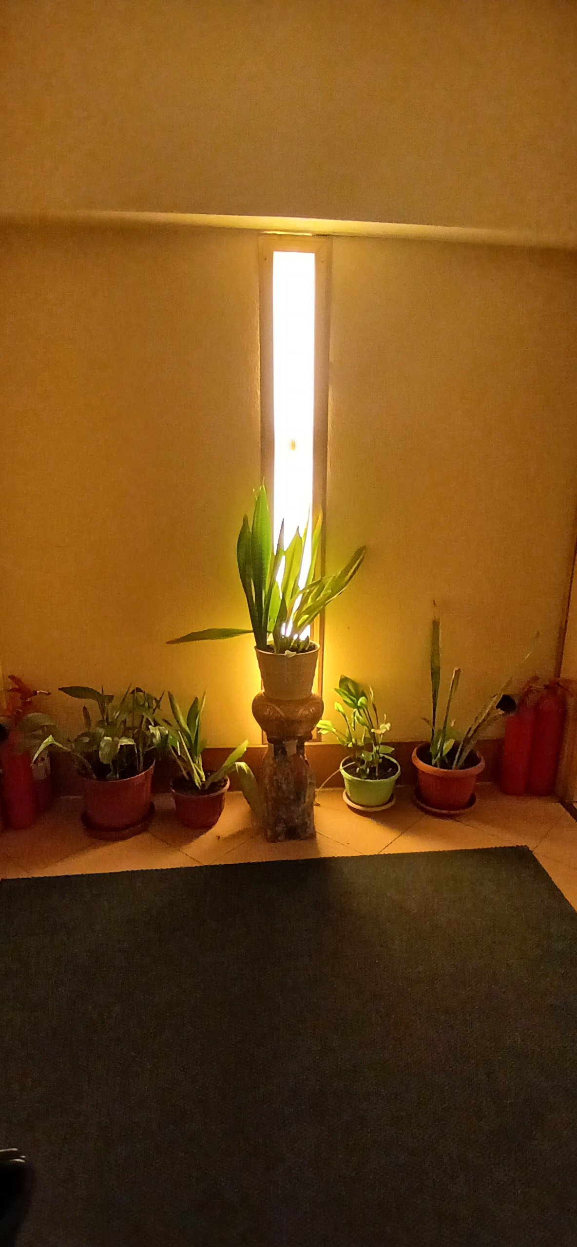 Фото Сварог Фильм Отель