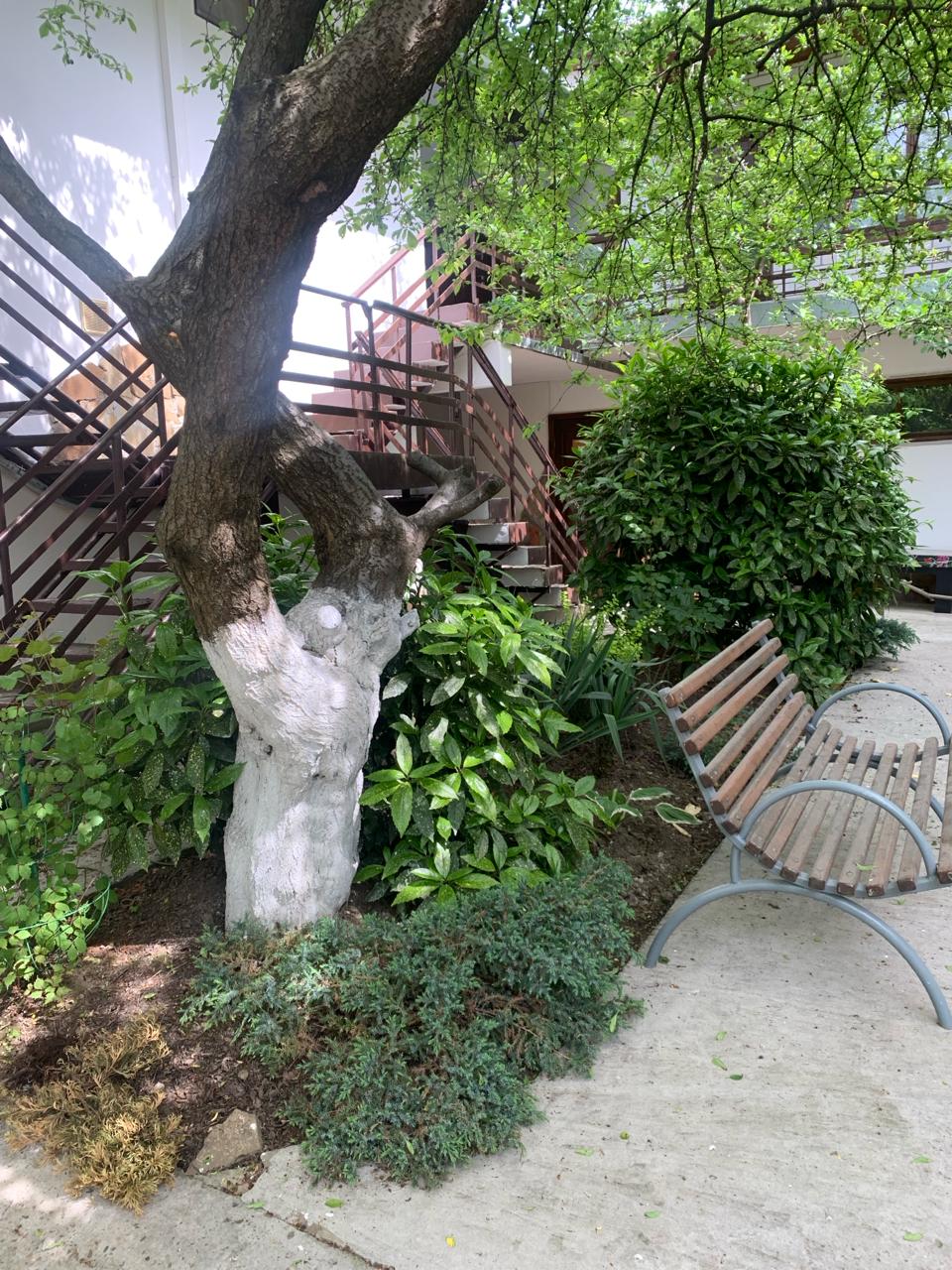 Фото КорМал