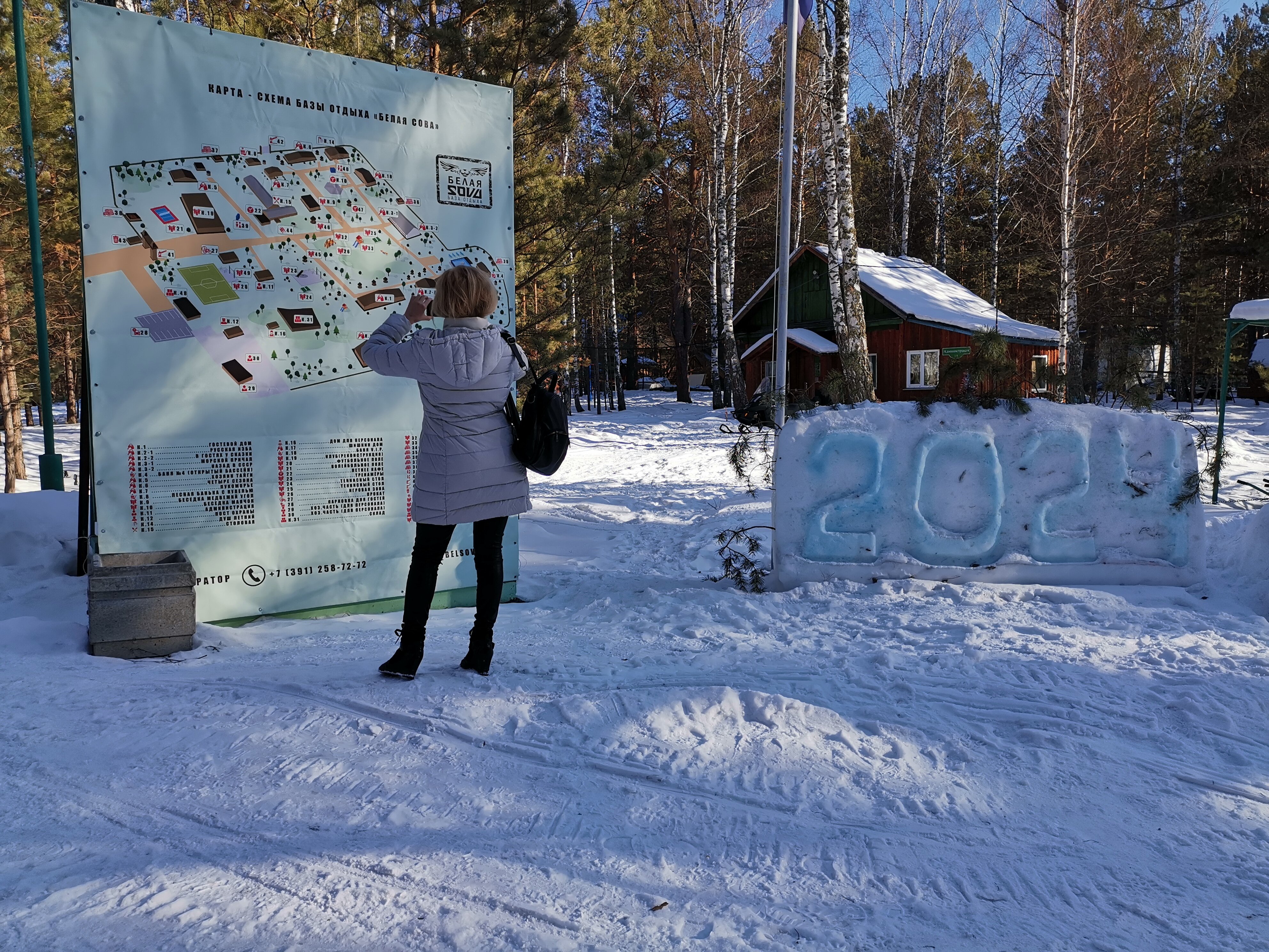 Фото Белая сова