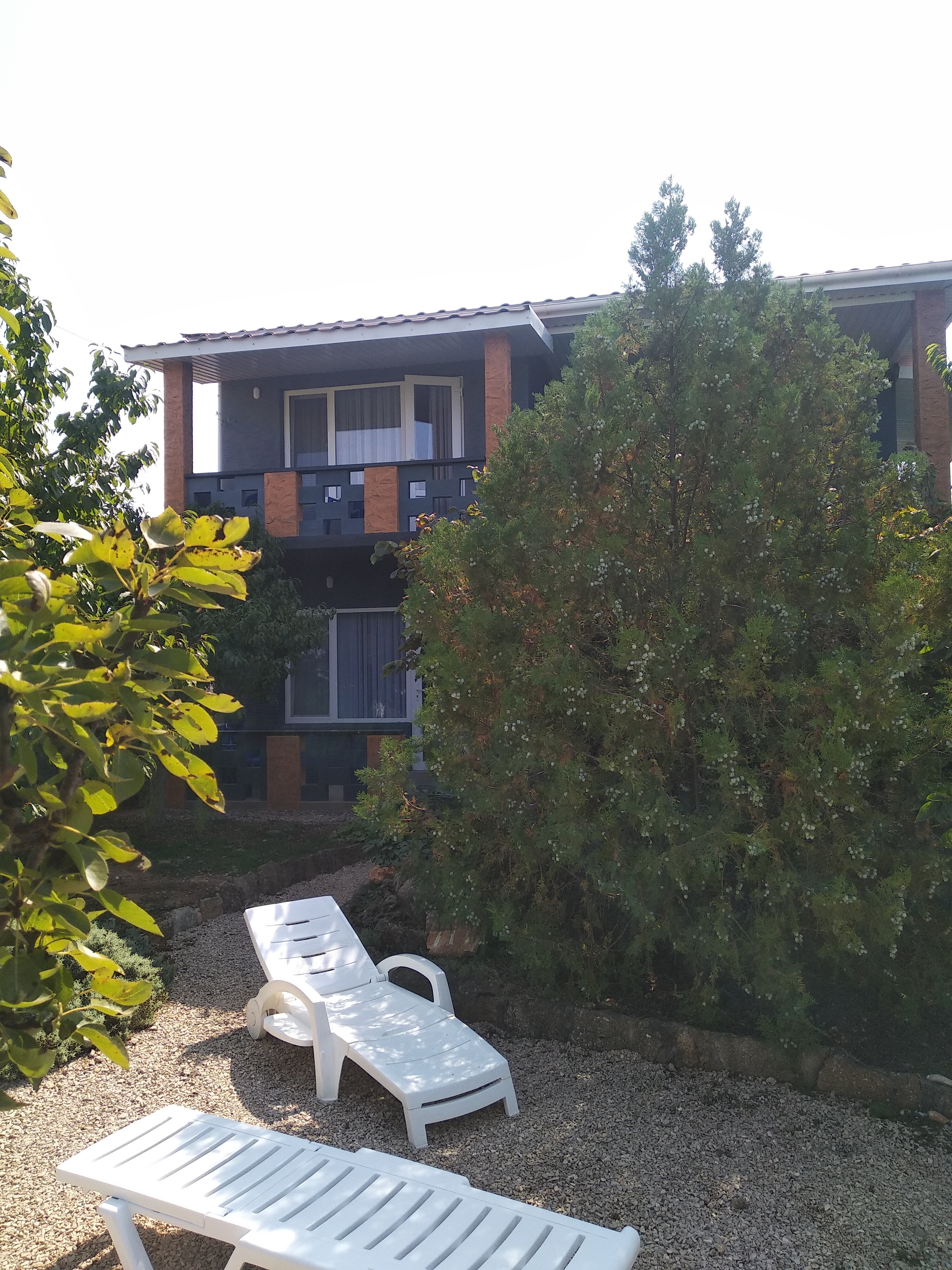 Фото Шардоне