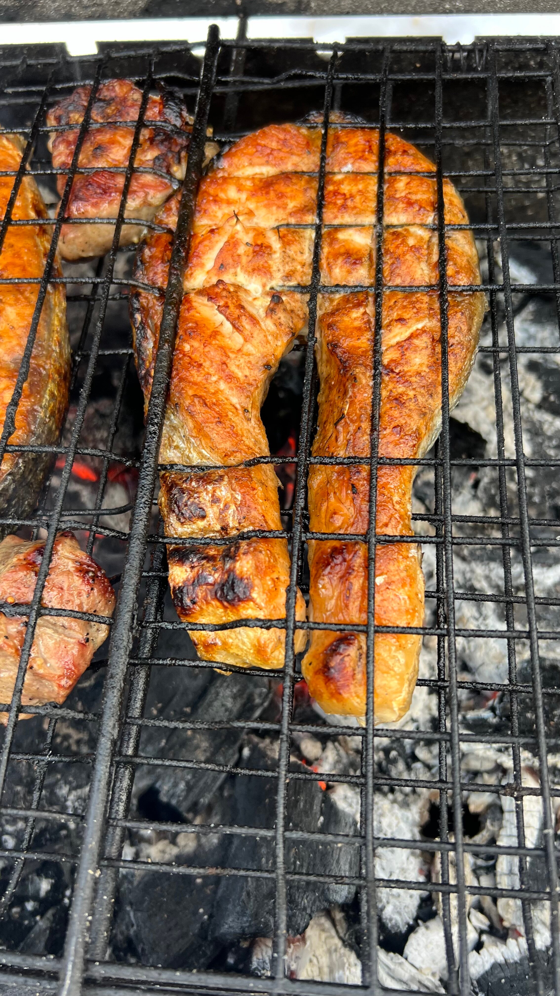 Фото Ёлки да Сосны