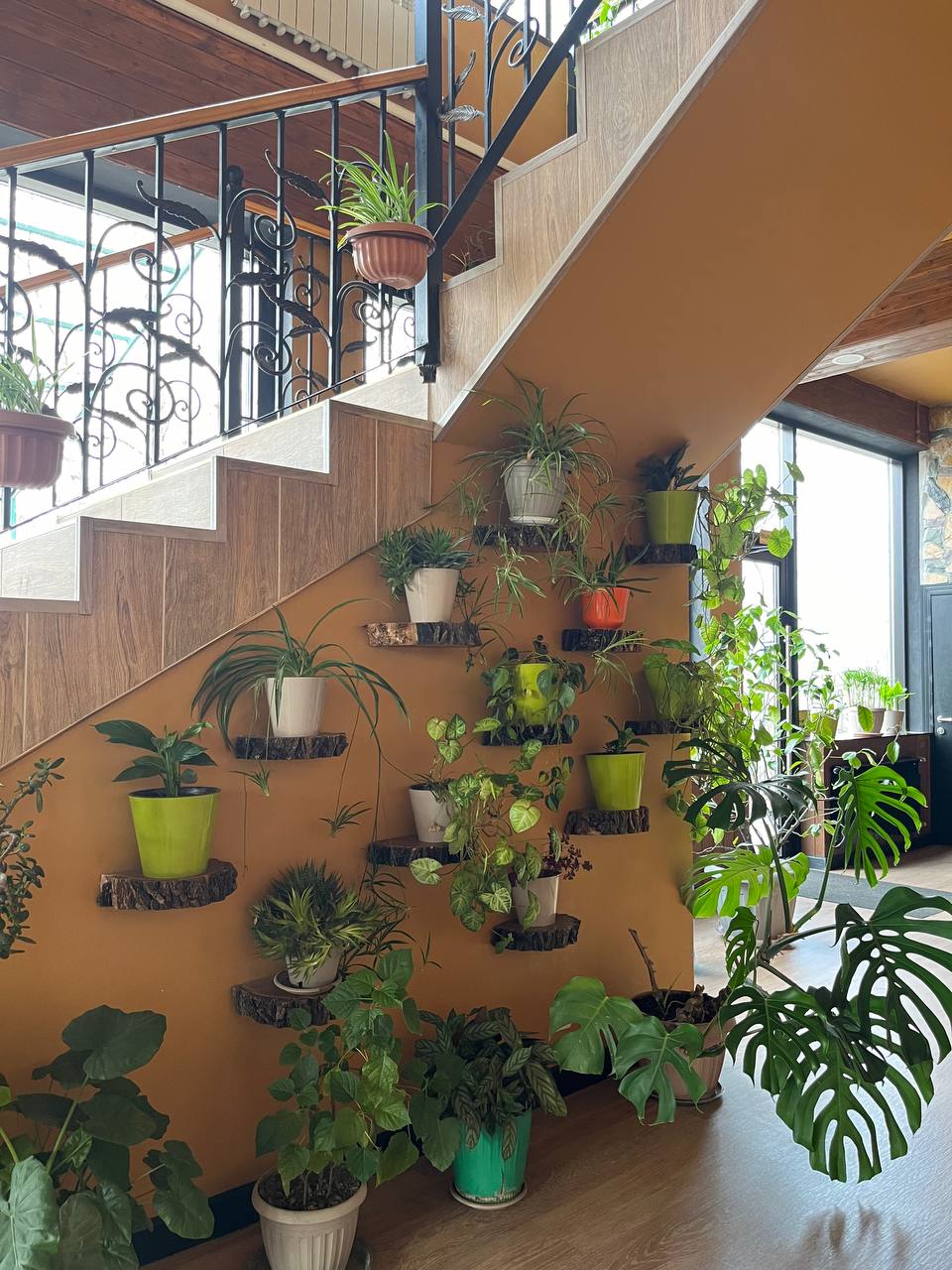 Фото Маданур