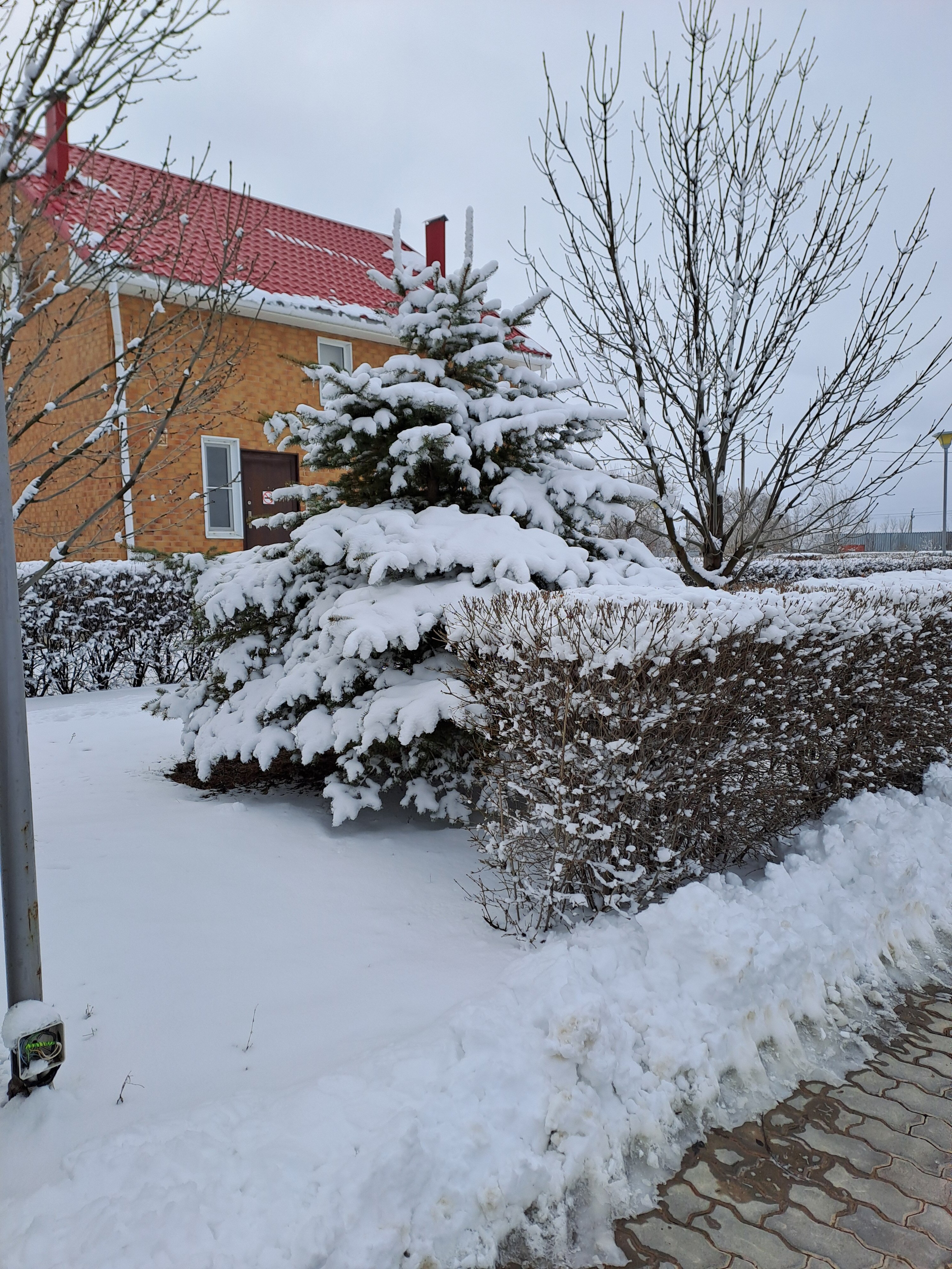 Фото Эльтон