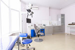 Eos Clinic (ulitsa Abdully Aliyeva, 18), medical center, clinic