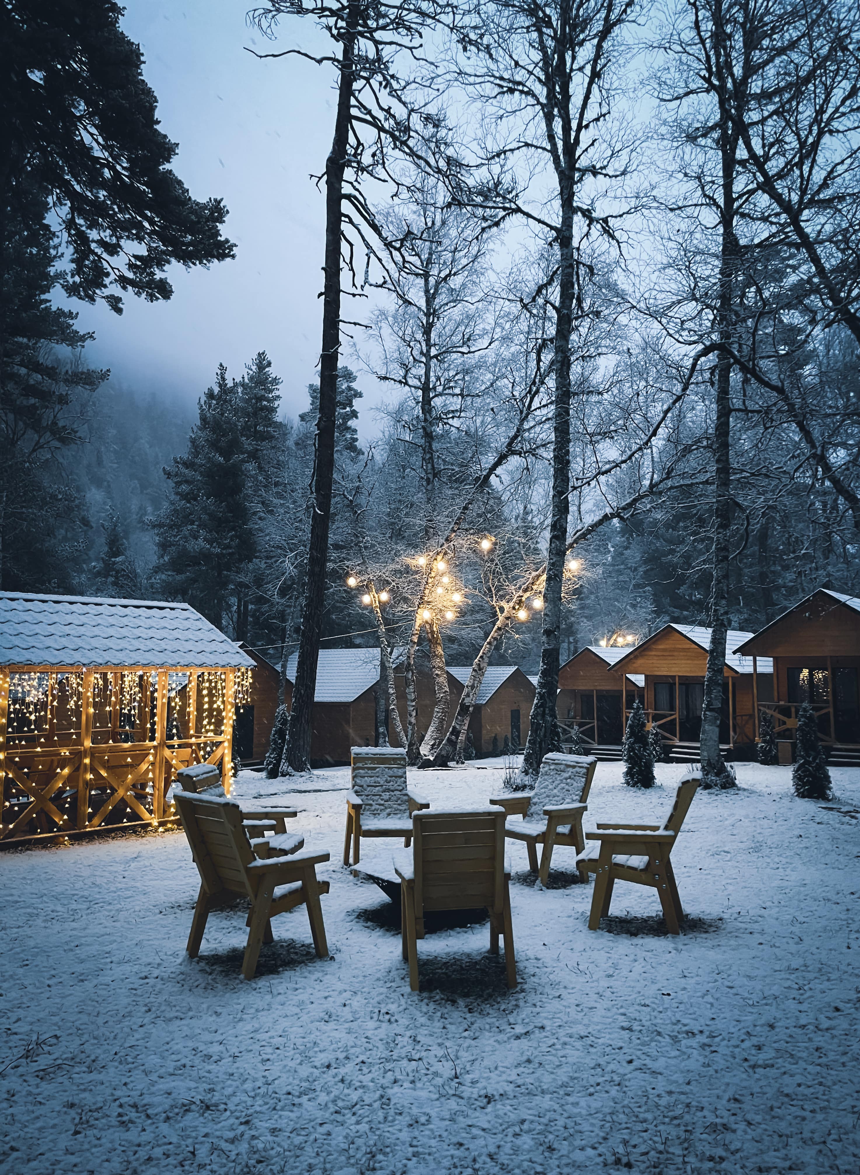 Фото Шале Хвоя