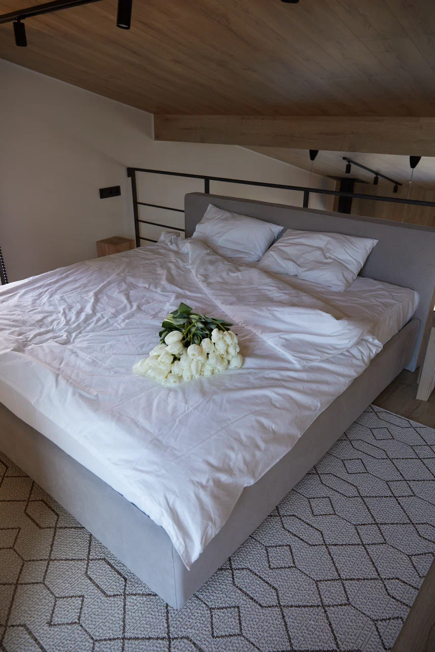 Фото Альпака