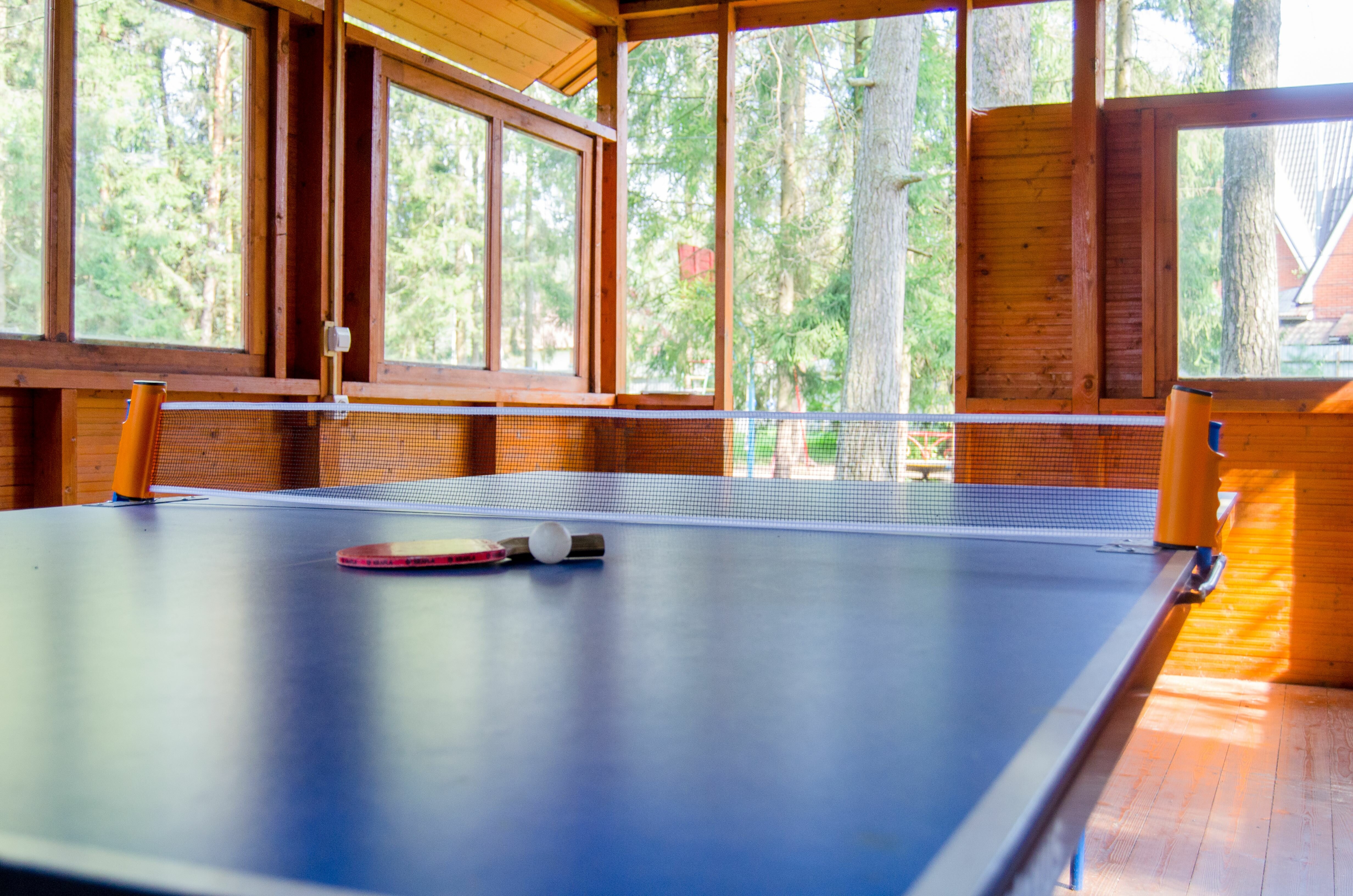 Фото Берёзовая роща