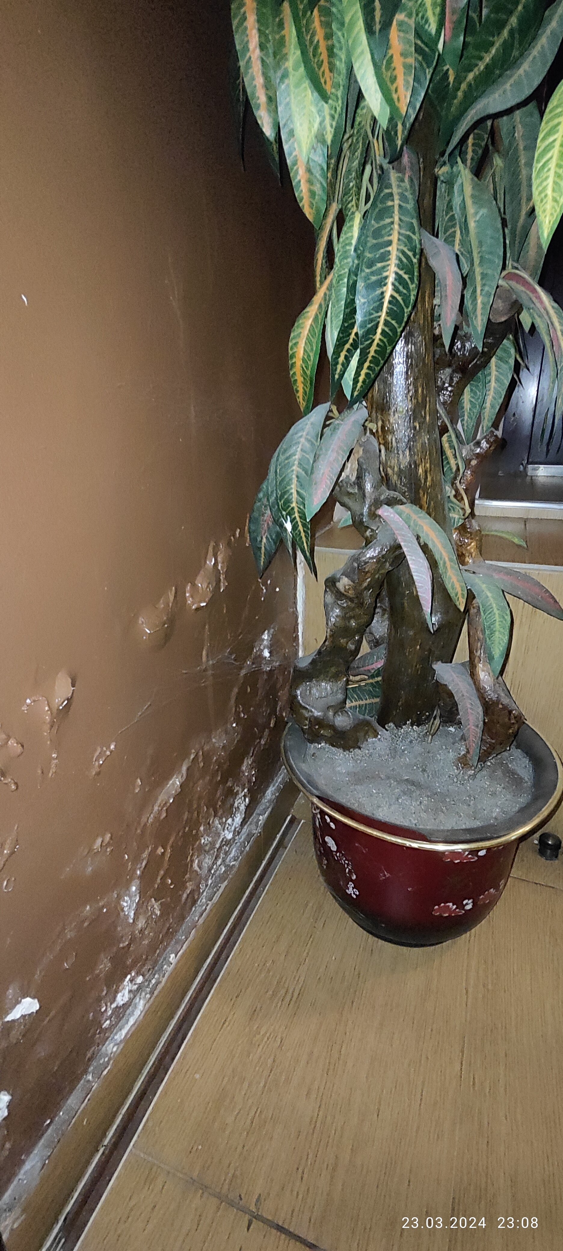 Фото Мартон Пашковский