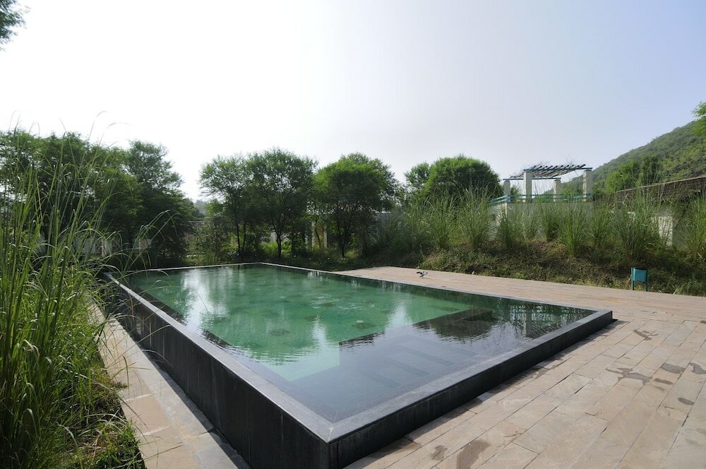 Фото Trees & Tigers