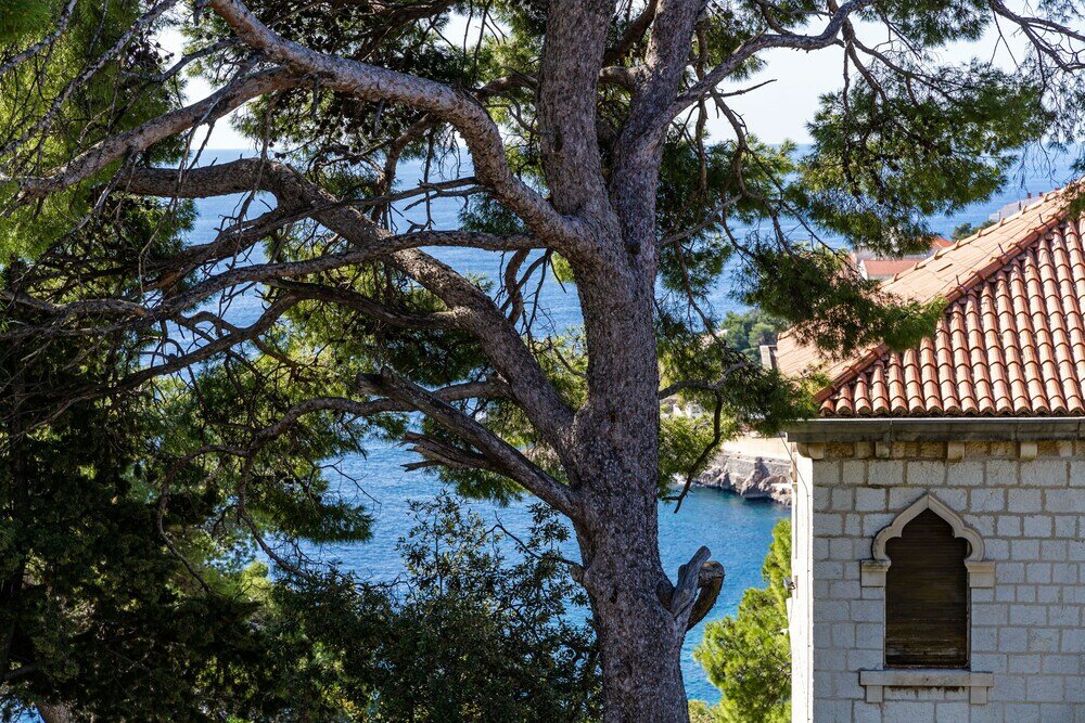 Фото House Boninovo - Adults Only