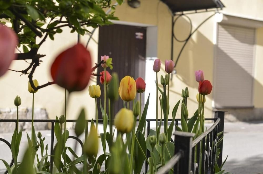 Фото Мини Отель Адель