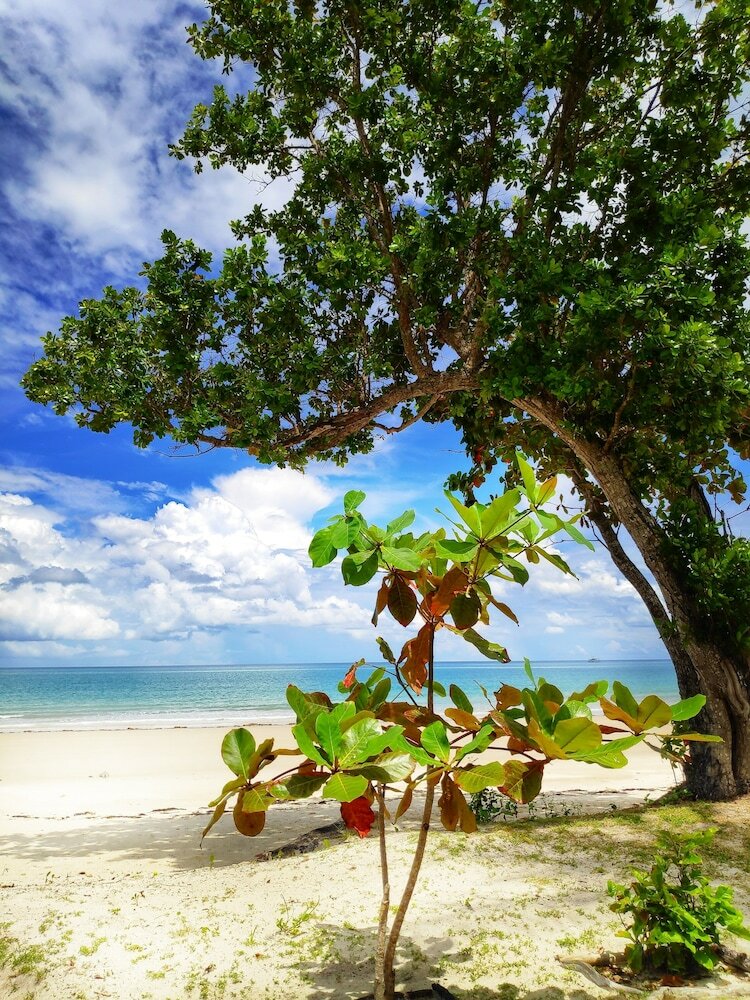 Фото Earth Park Resorts