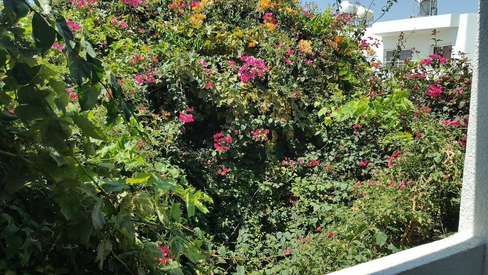 Фото Ha. De. Co. Holiday Apts