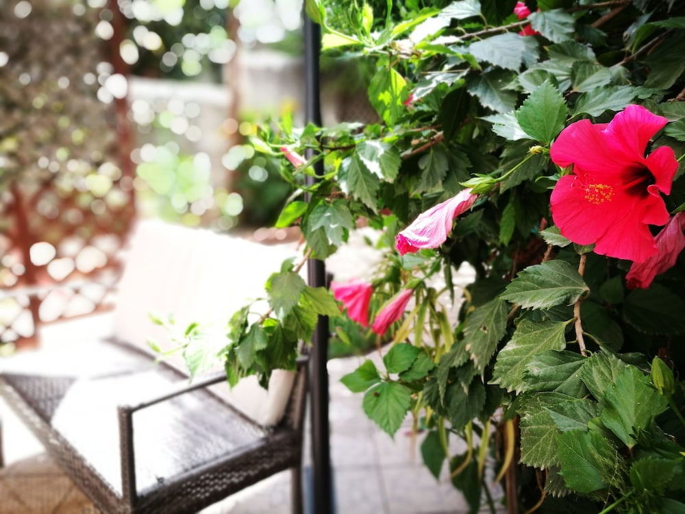 Фото Bella Palermo