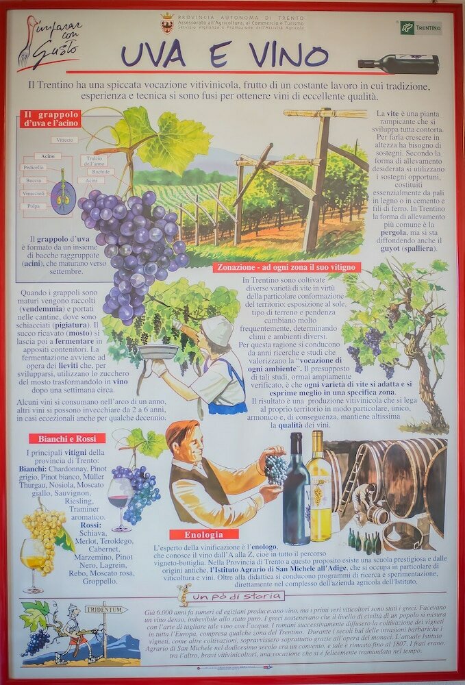 Фото Agriturismo Trefrutti