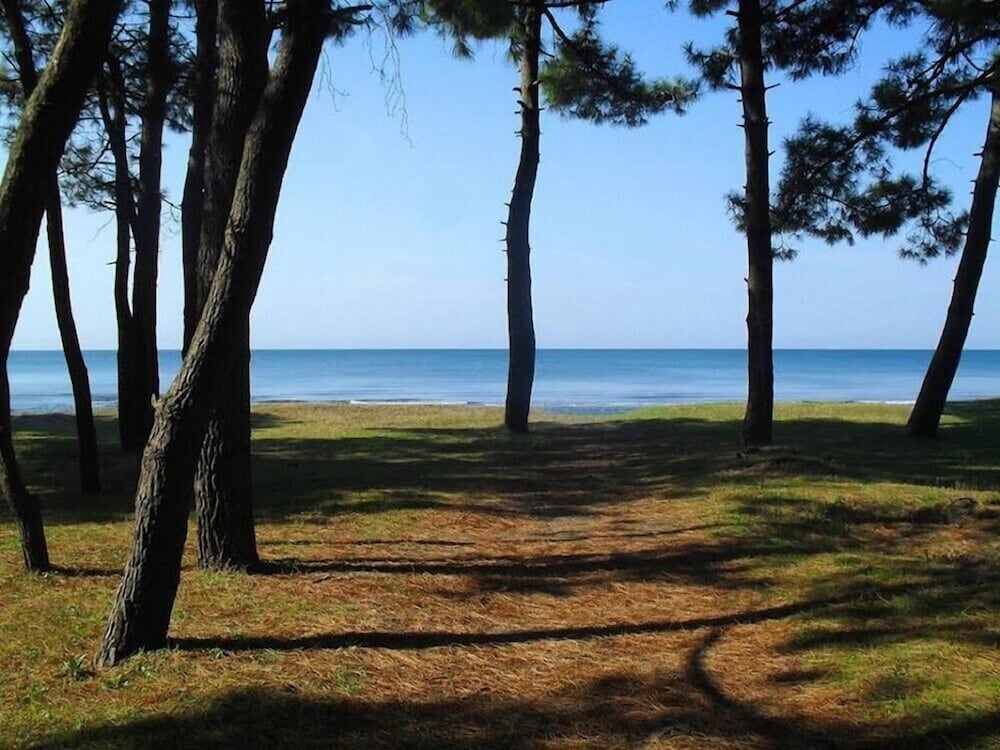 Фото Green House