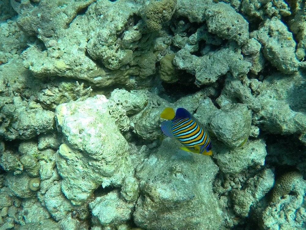 Фото Hudhu Raakani Lodge
