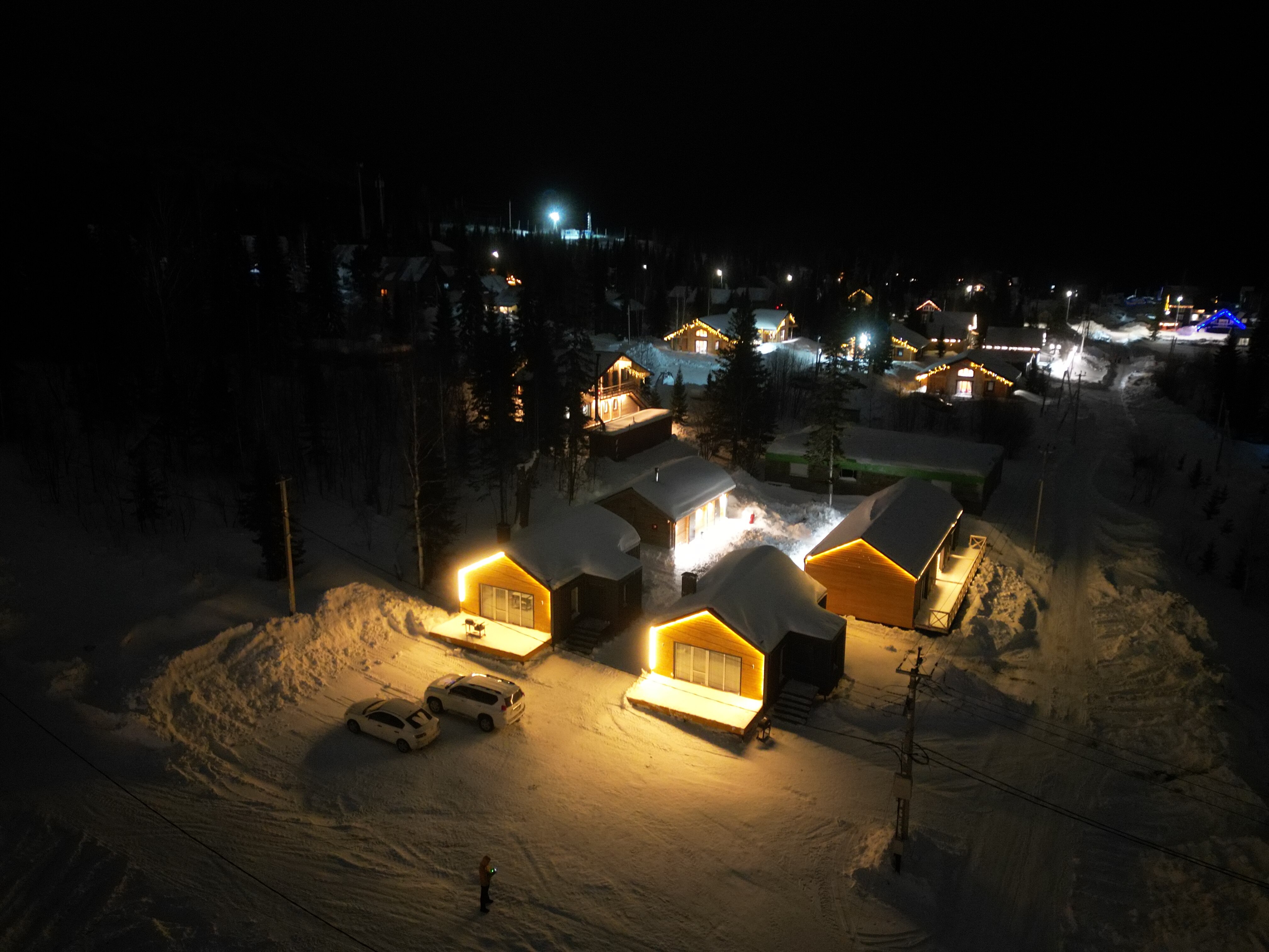 Фото Еловый лис