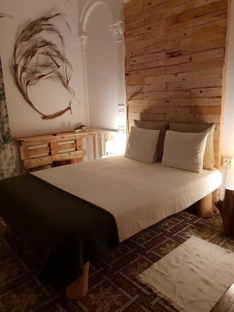 Фото Cactus Host