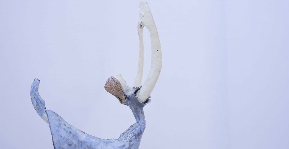 Фото La Valle Delle Ferriere