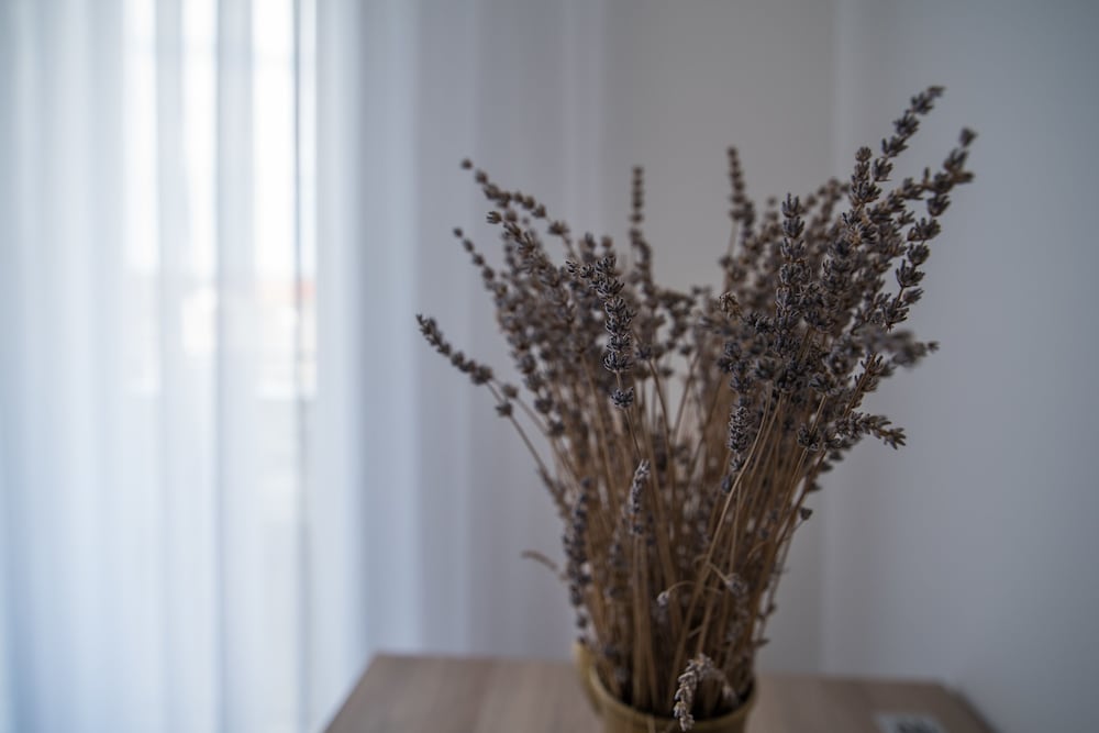 Фото Apartments & Rooms Lavanda