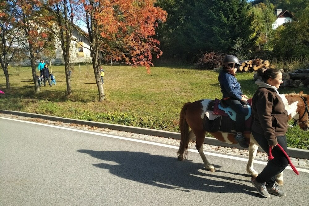 Фото ProFamily Top Benecko