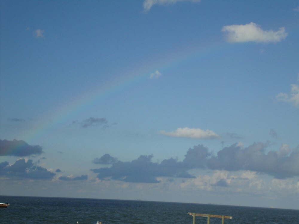 Фото Come Friday Cottages on the Bay