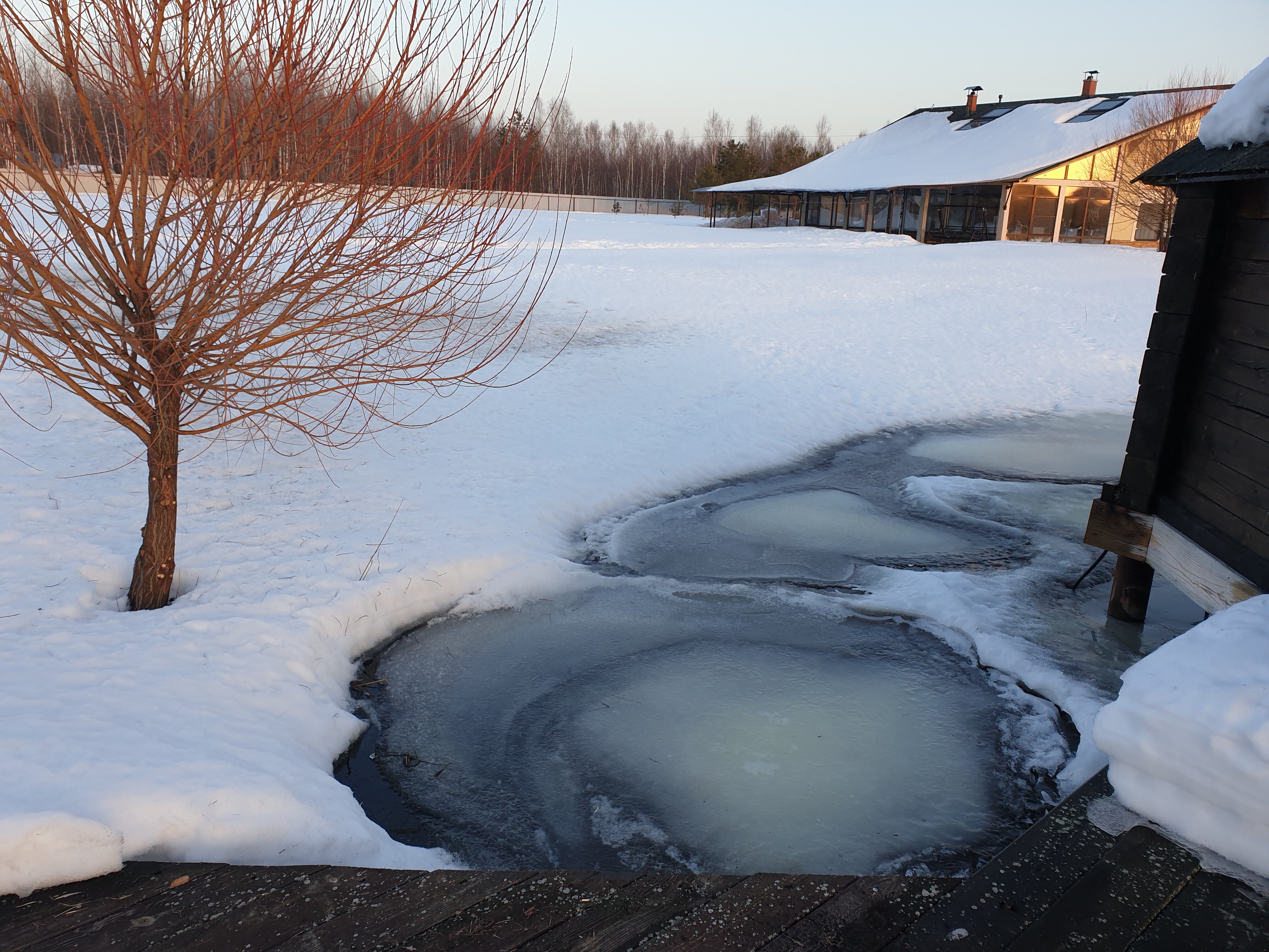 Фото Tasin-Bor Farm