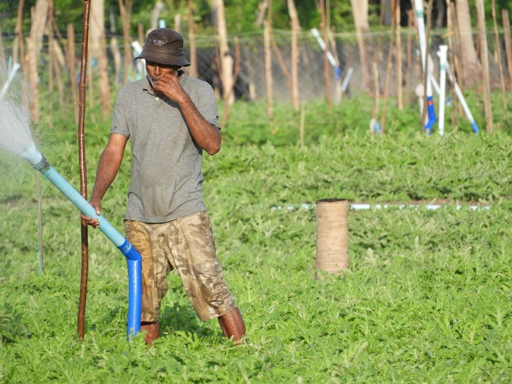 Фото Karaa Village