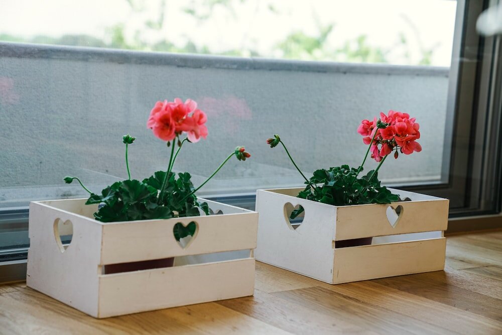 Фото Apartments Bazar