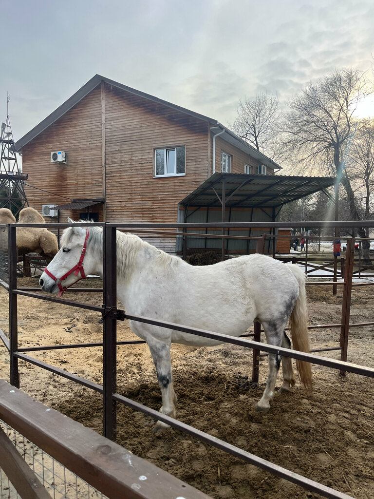 Мәдениет және демалыс саябағы Парк Авиастроителей, Воронеж, фото