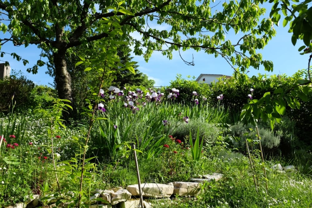 Фото B&b Ca' Dell'Olmo