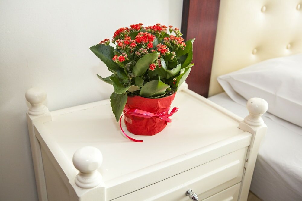 Фото Hotel Zografos