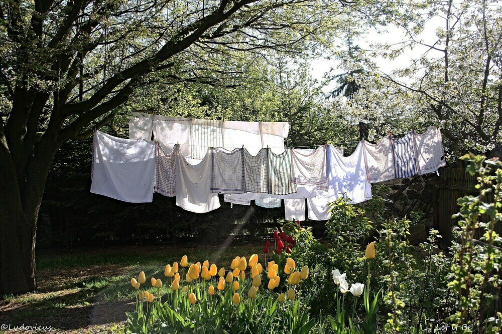 Фото Auberge de Provence