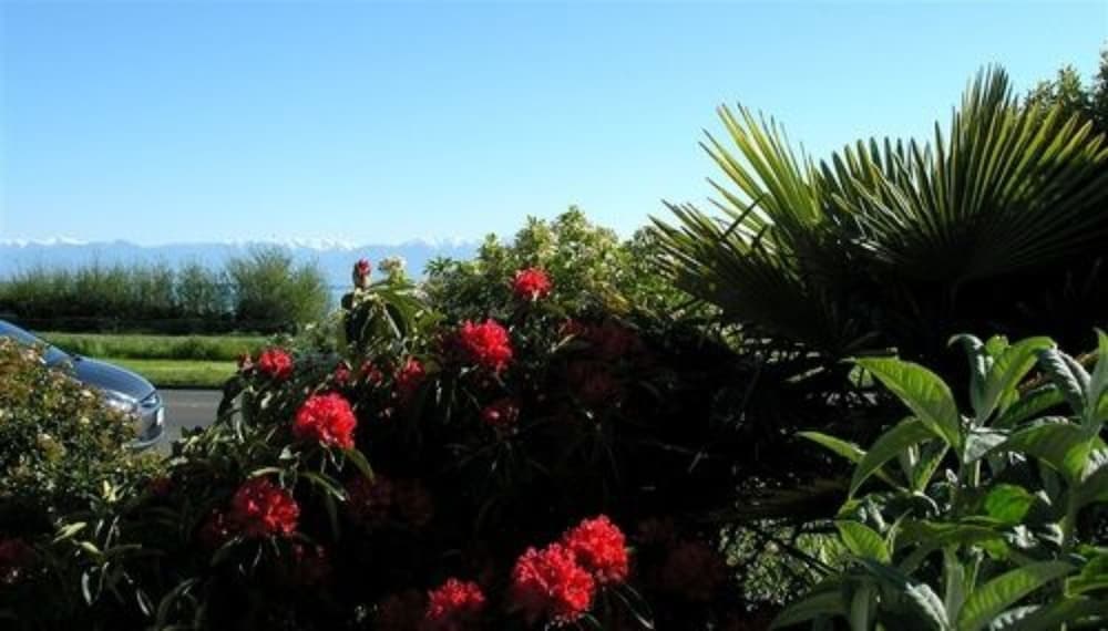 Фото Dashwood Manor Seaside Bed & Breakfast